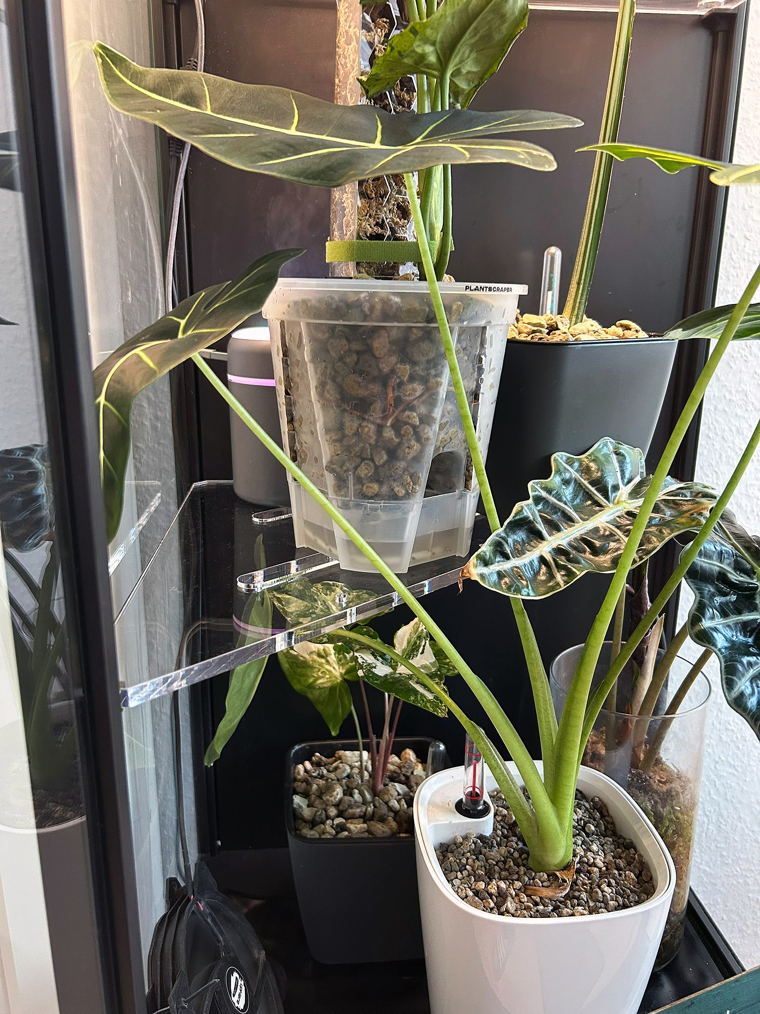 Rudsta Hoch Einlegeböden | Greenhouse | Pflanzeneinsatz | Gewächshaus