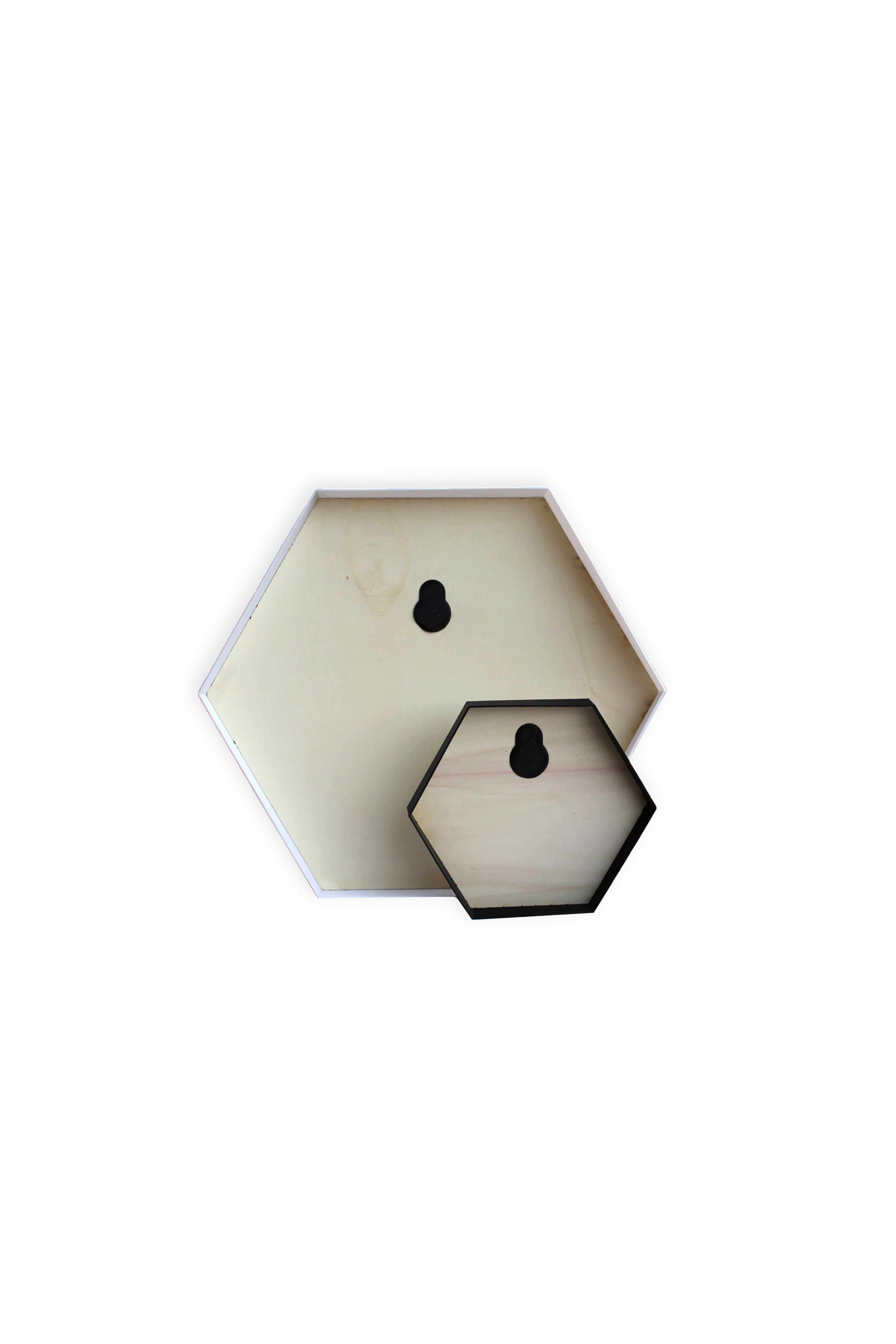 Hexagon Rahmen für Moosbilder 