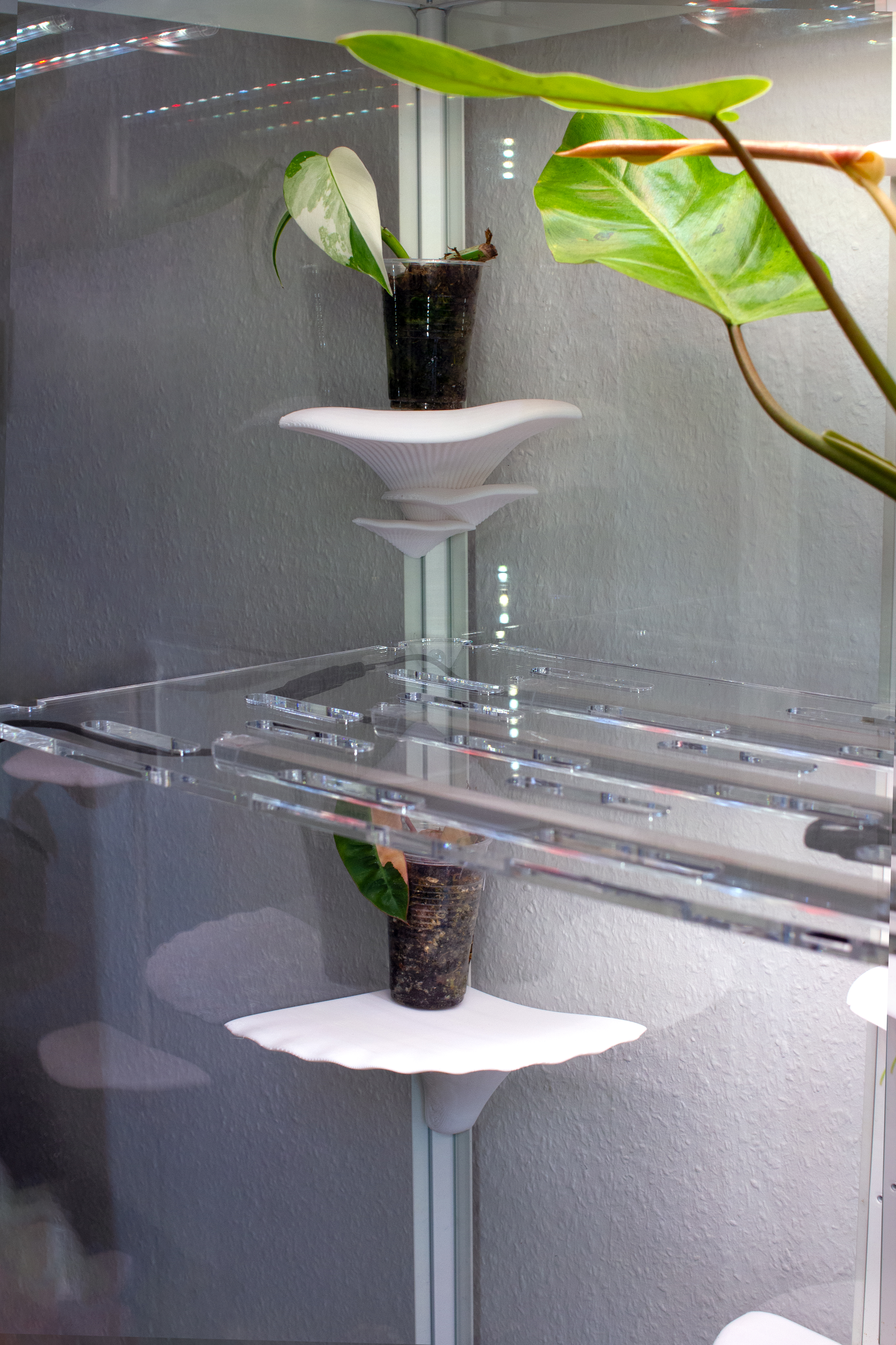 Modell zum 3D drucken