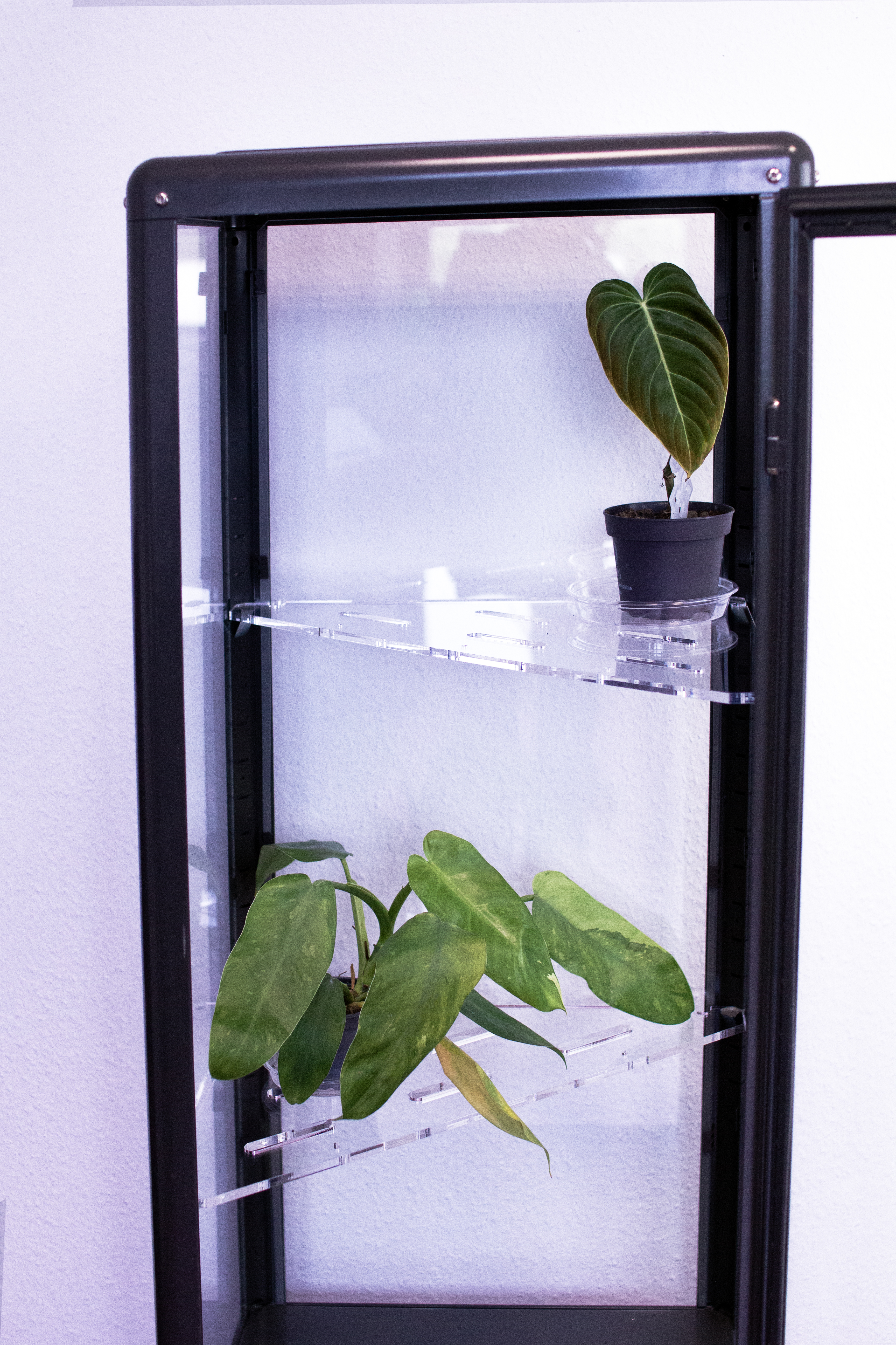 Fabrikör hoch (tall) Einlegeböden | Greenhouse | Pflanzeneinsatz 