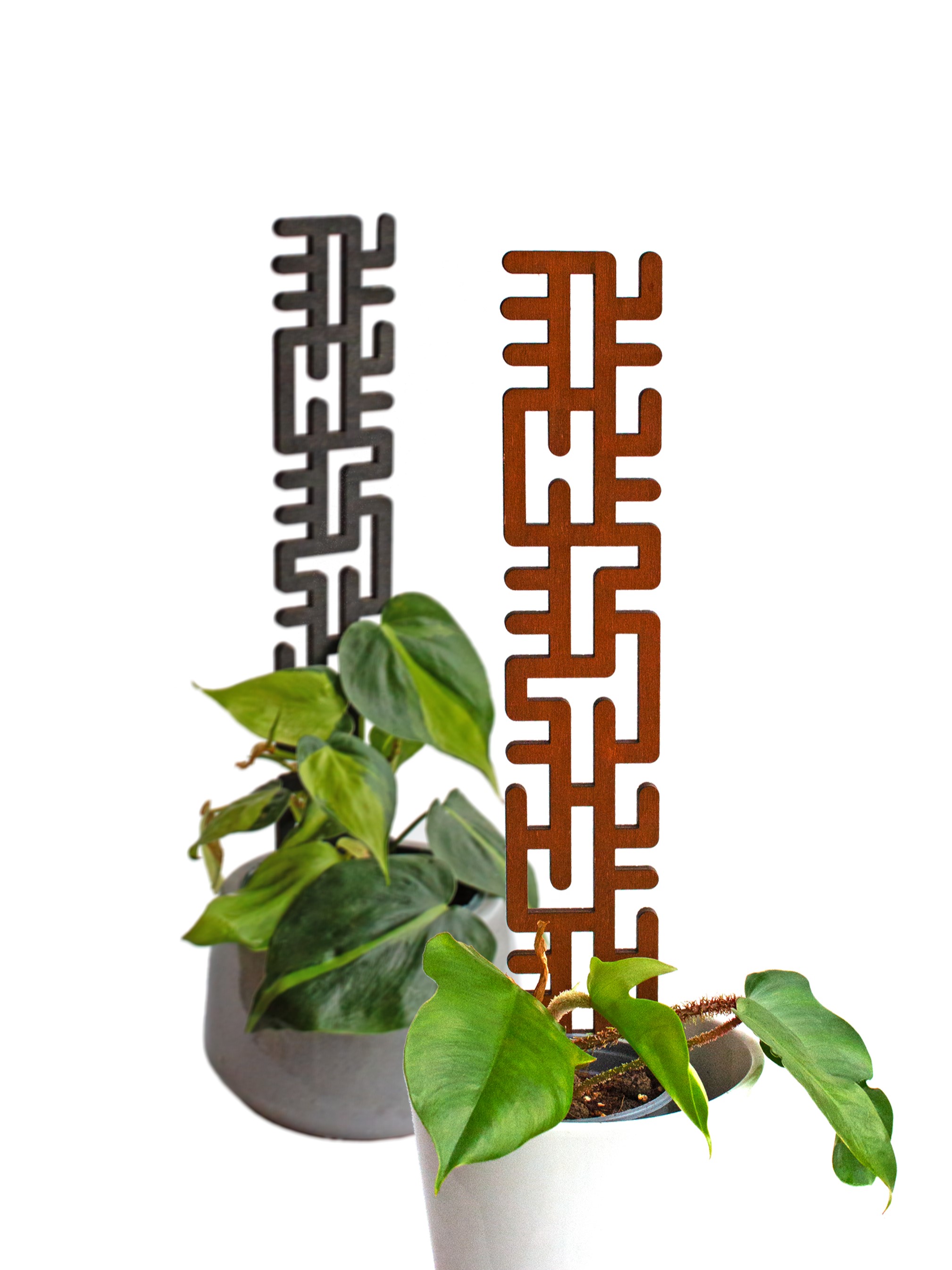 Rankhilfe für Kletterpflanzen  - Kletterhilfe - Monstera - Efeutute - Philodendron