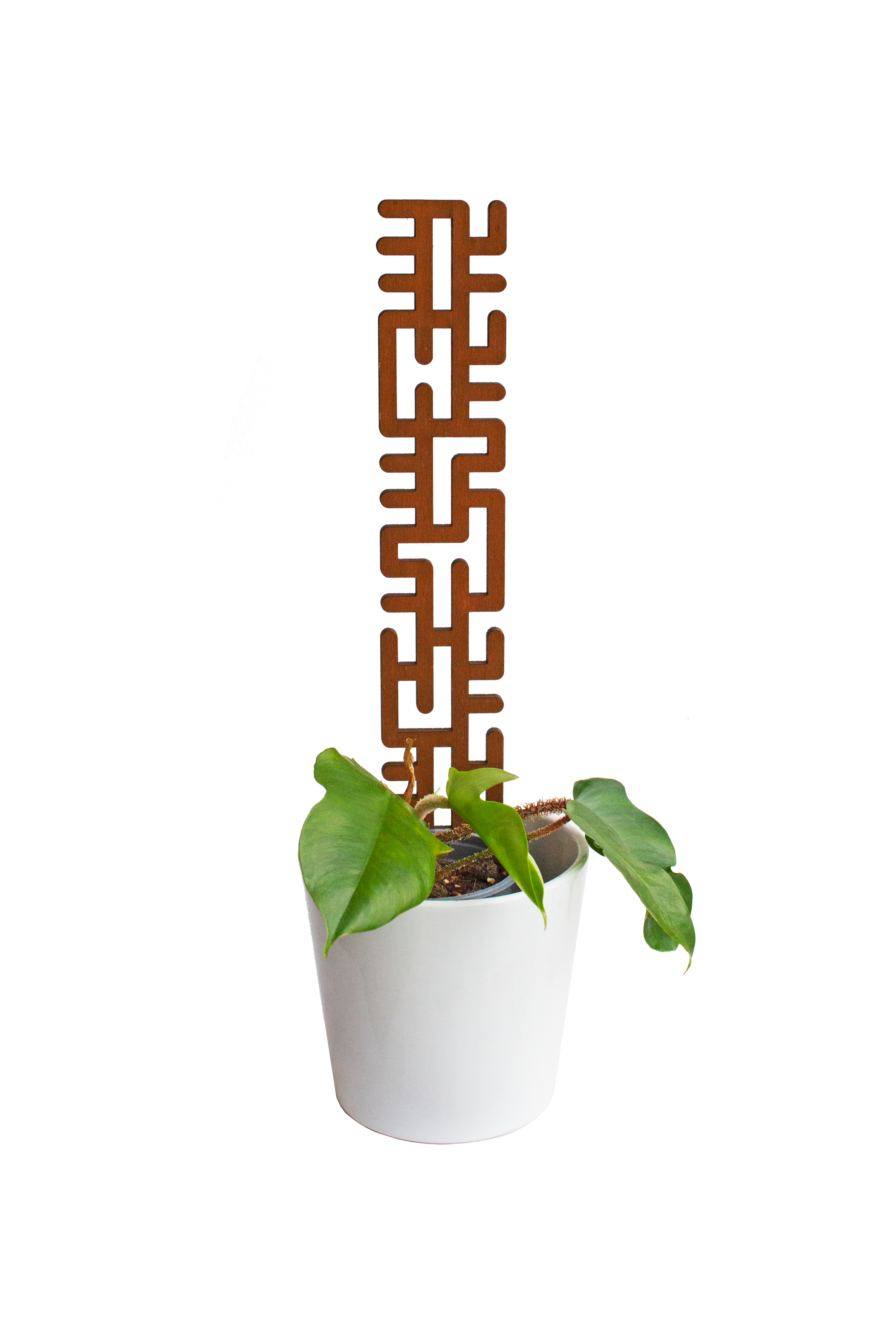 Rankhilfe für Kletterpflanzen  - Kletterhilfe - Monstera - Efeutute - Philodendron
