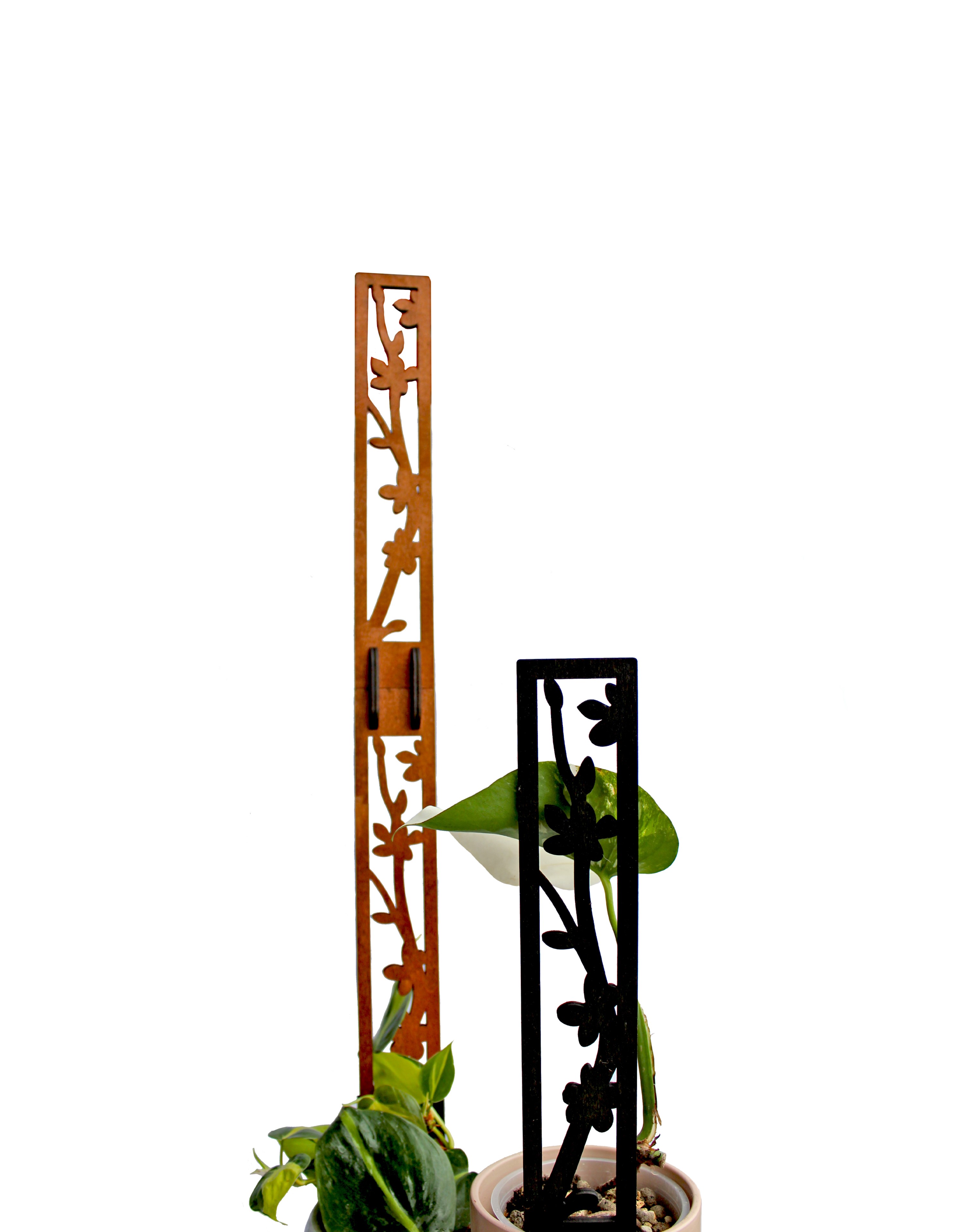 Rankhilfe für Kletterpflanzen