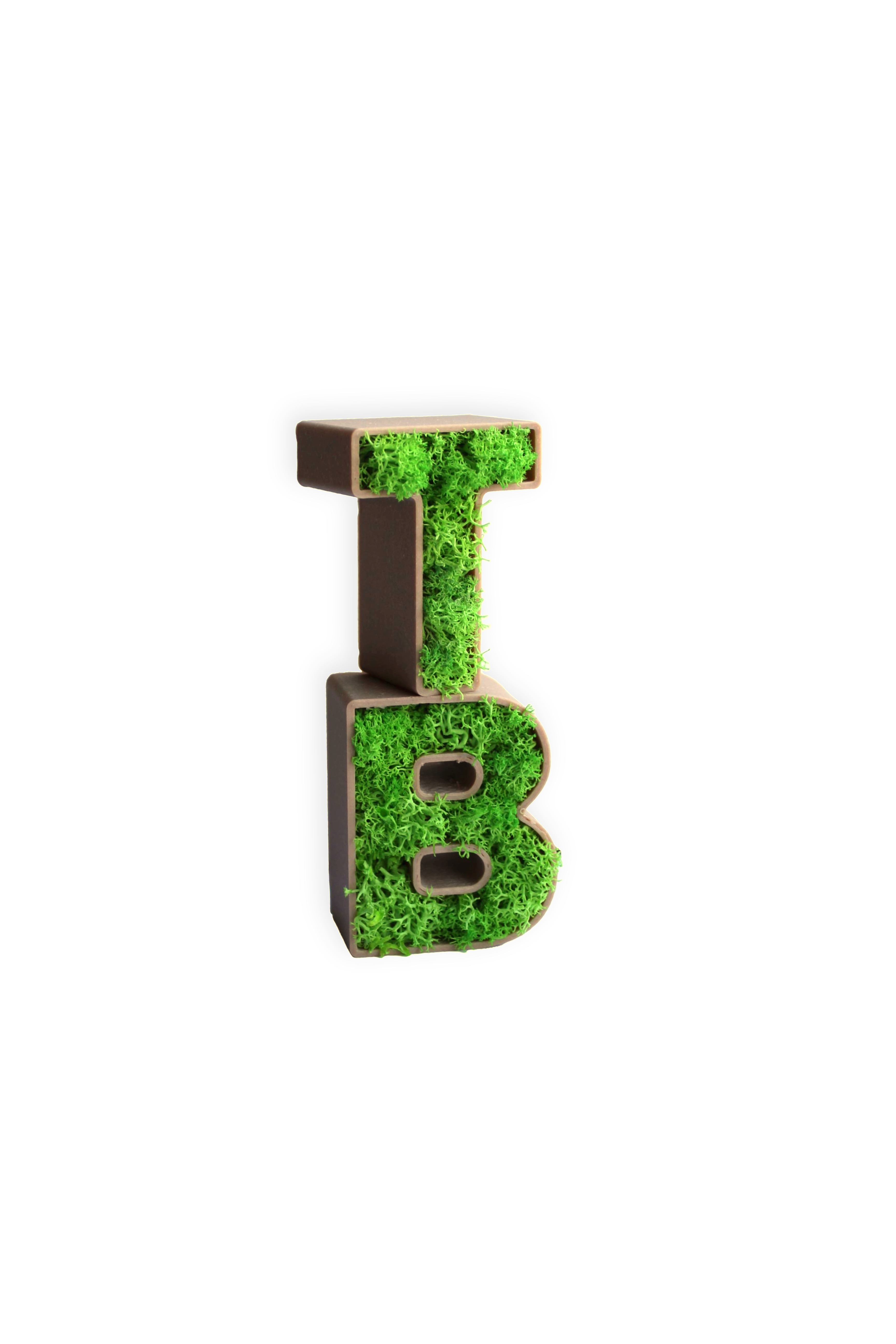Buchstaben und Zahlen mit konserviertem Islandmoos