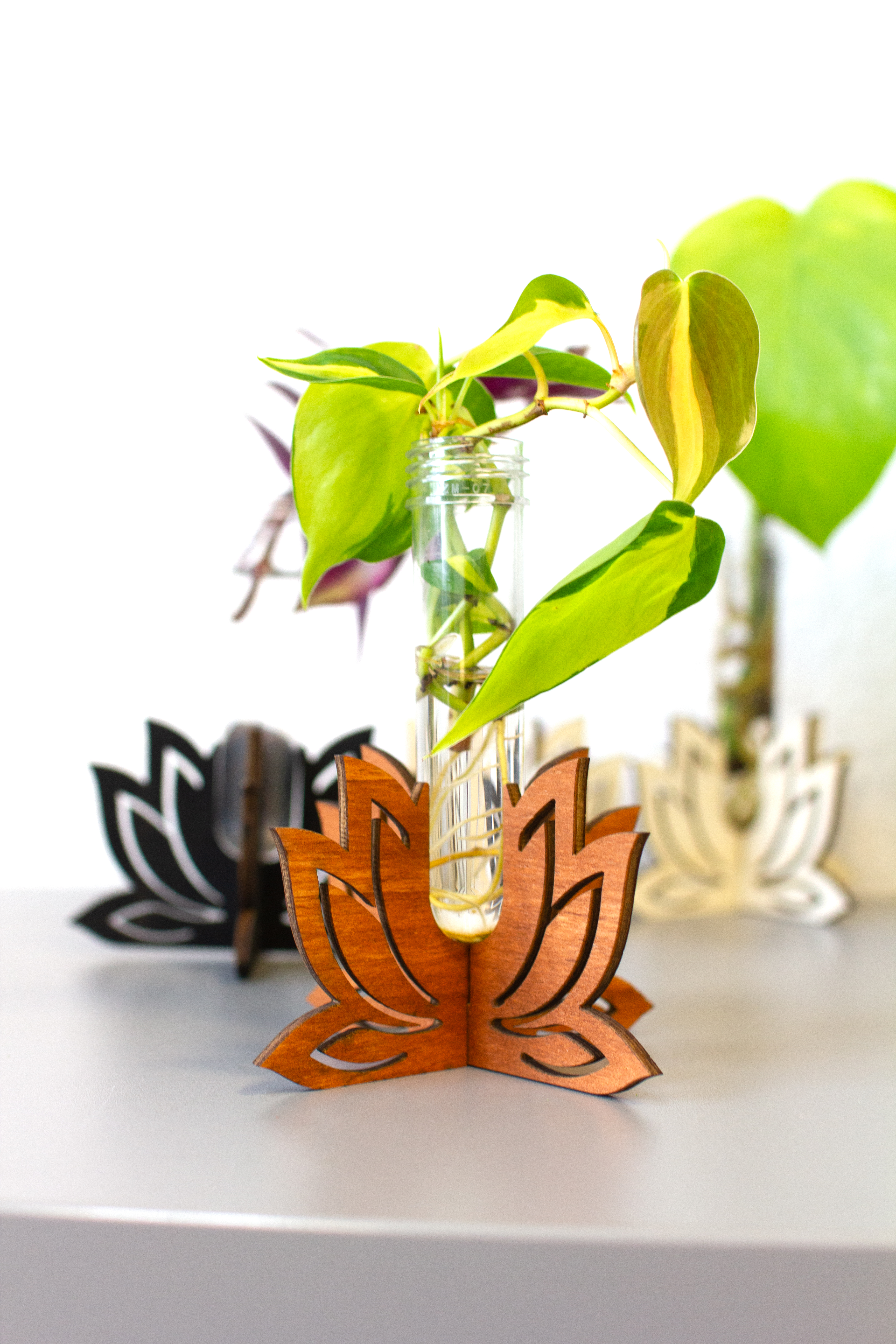 Lotus Pflanzenständer Holz 
