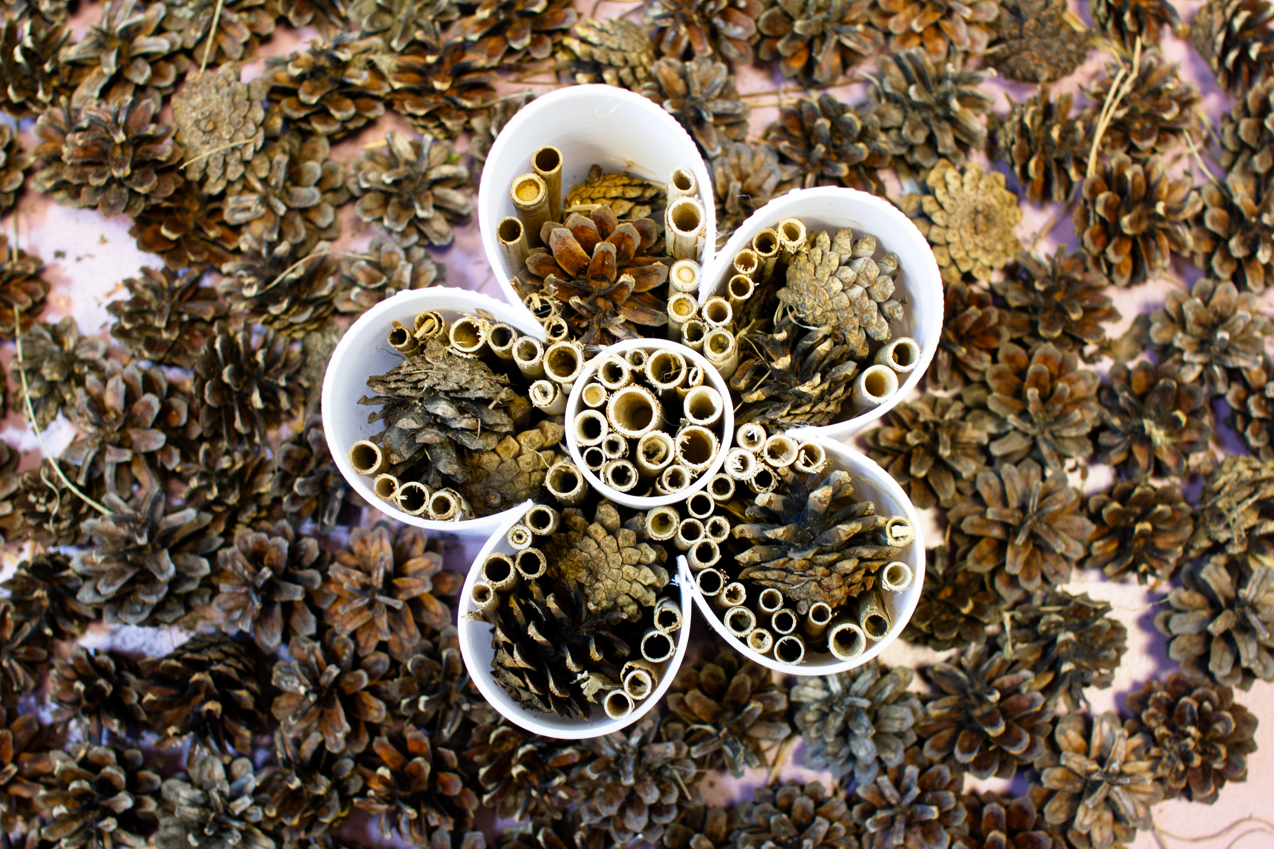 Insektenhotel Marienkäfer oder Blume