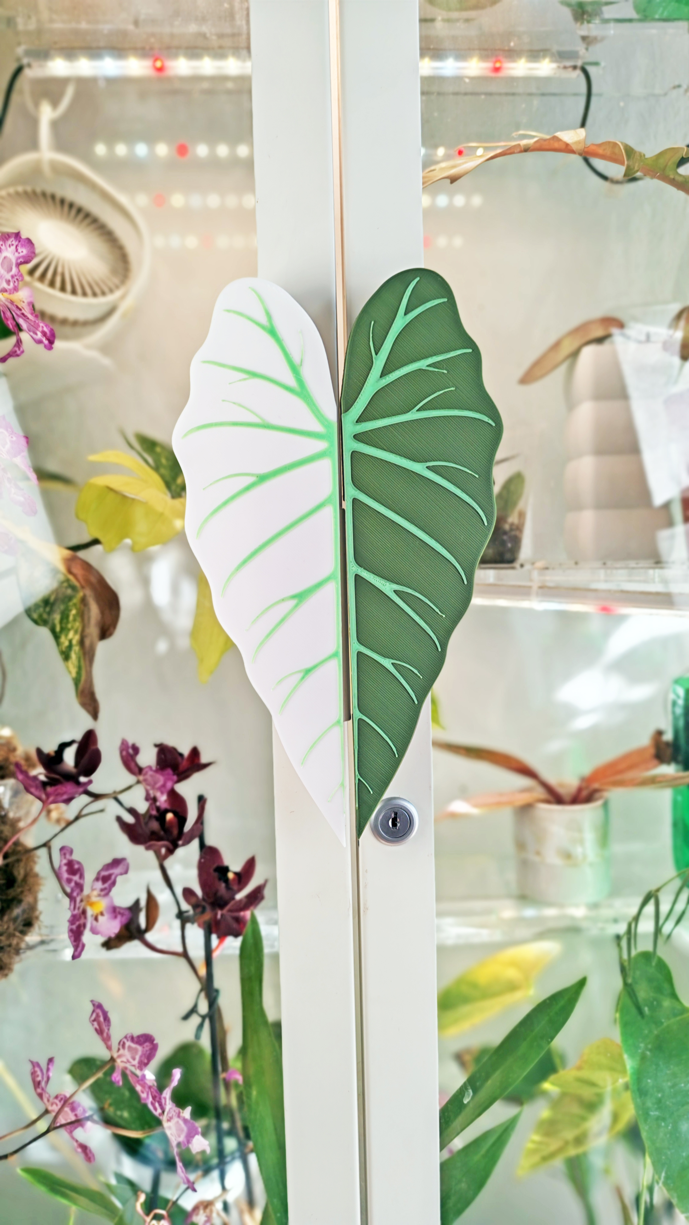 MILSBO Griffe Alocasia Blatt 