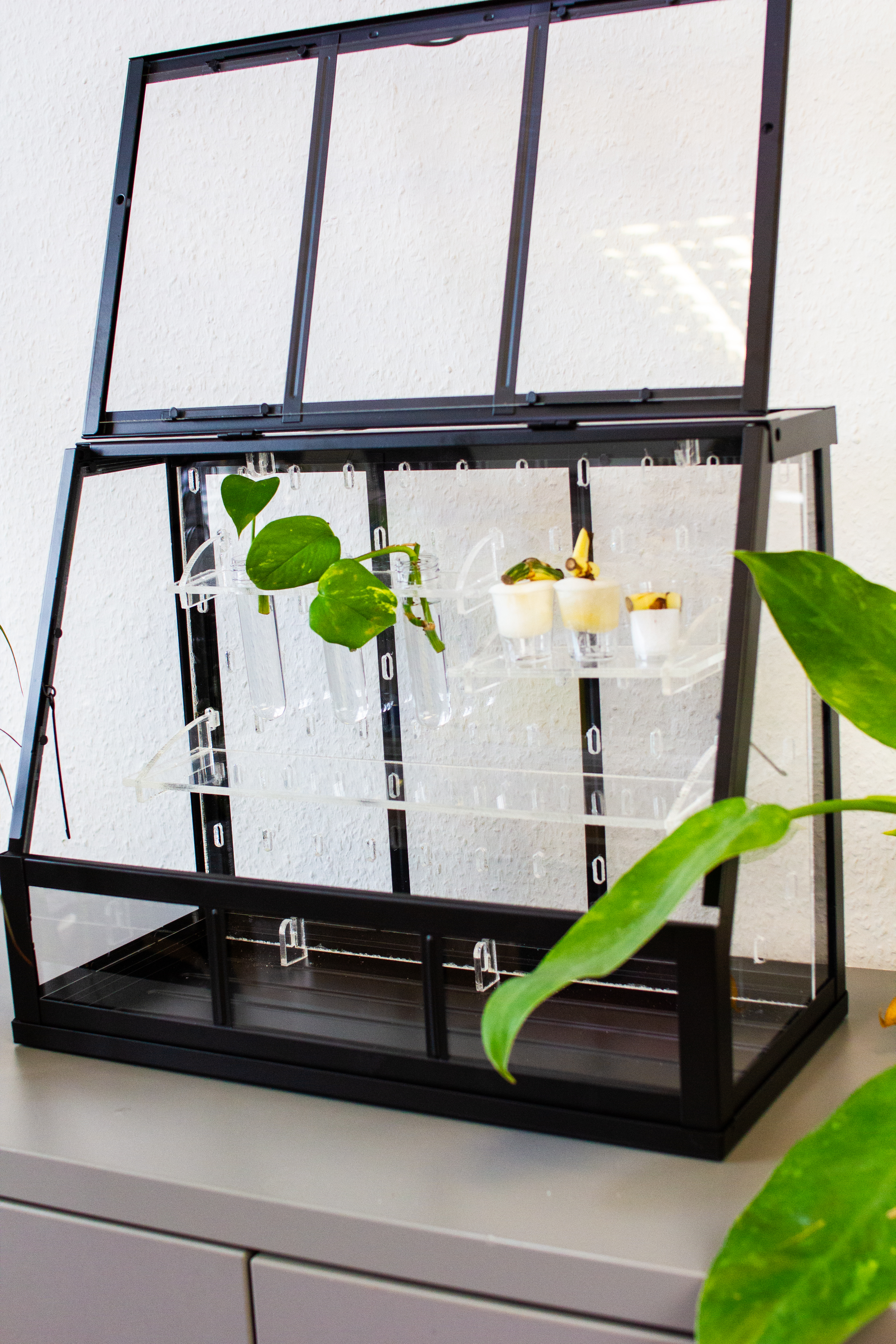 Akerbar 45cm Acrylregal Set | Greenhouse | Pflanzeneinsatz | Gewächshaus