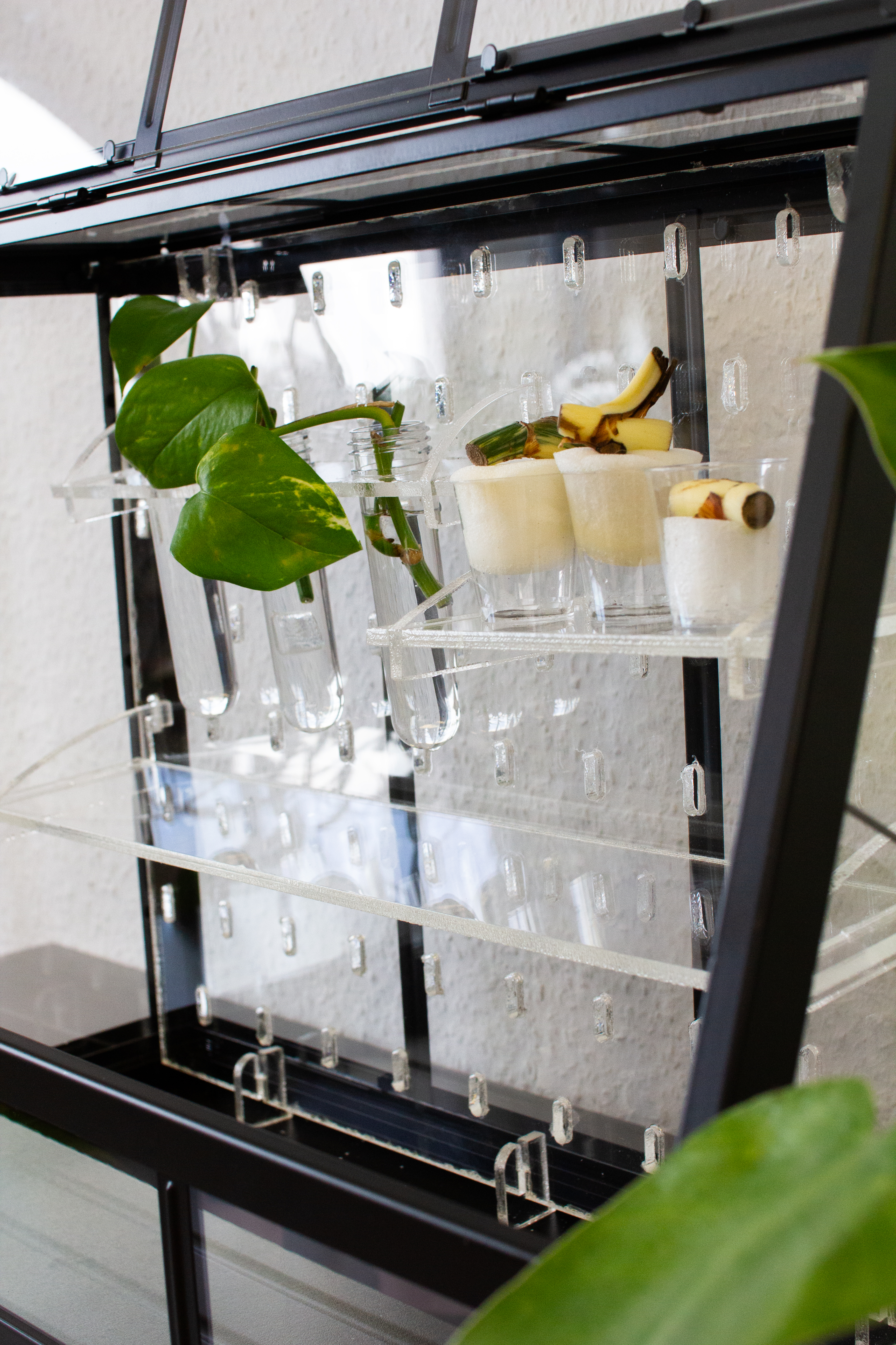 Akerbar 45cm Acrylregal Set | Greenhouse | Pflanzeneinsatz | Gewächshaus