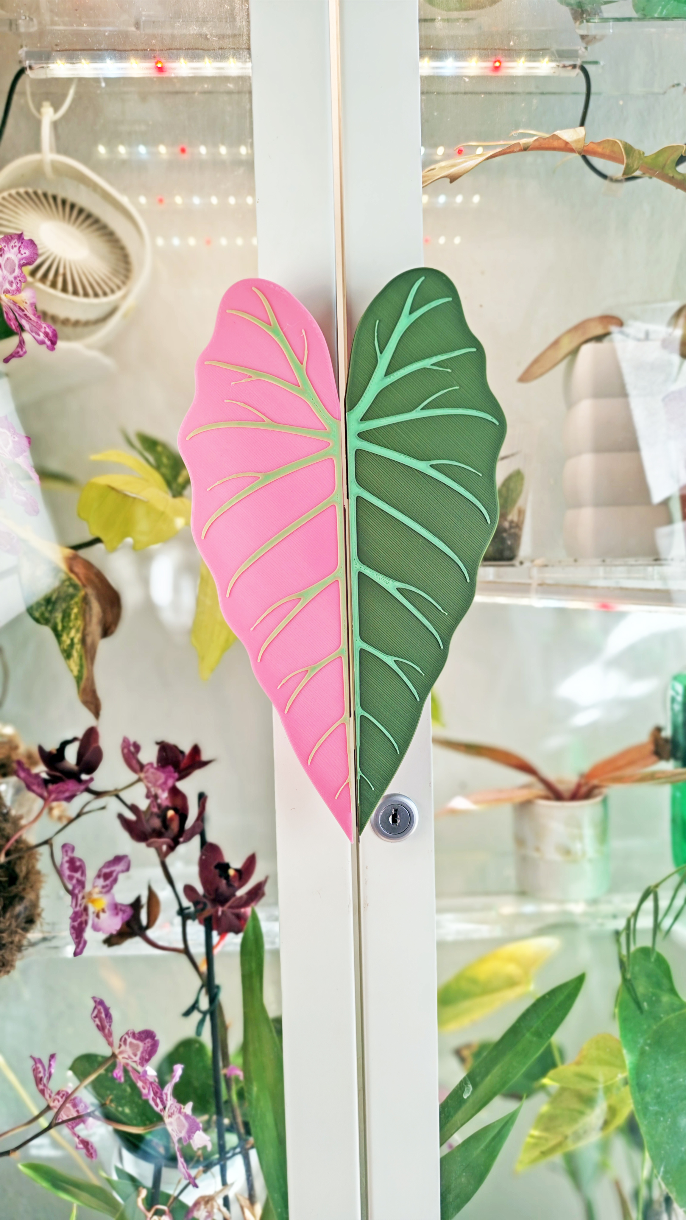 MILSBO Griffe Alocasia Blatt 