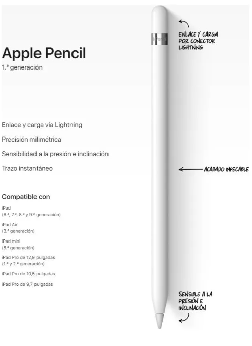 Apple Pencil 1ra Generación Con Adaptador Usb-c Blanco