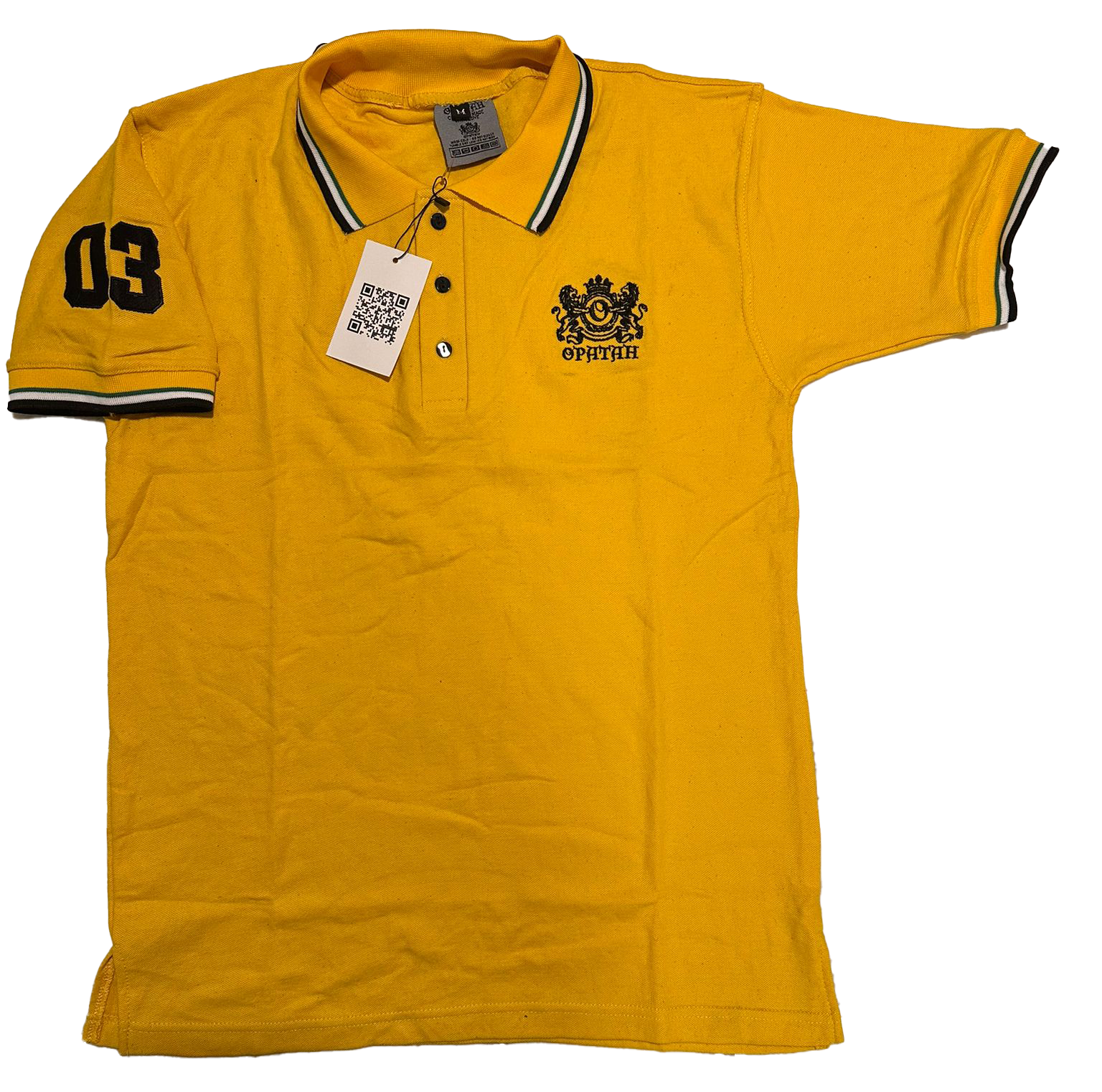 Multi-Tonal Polo Shirt