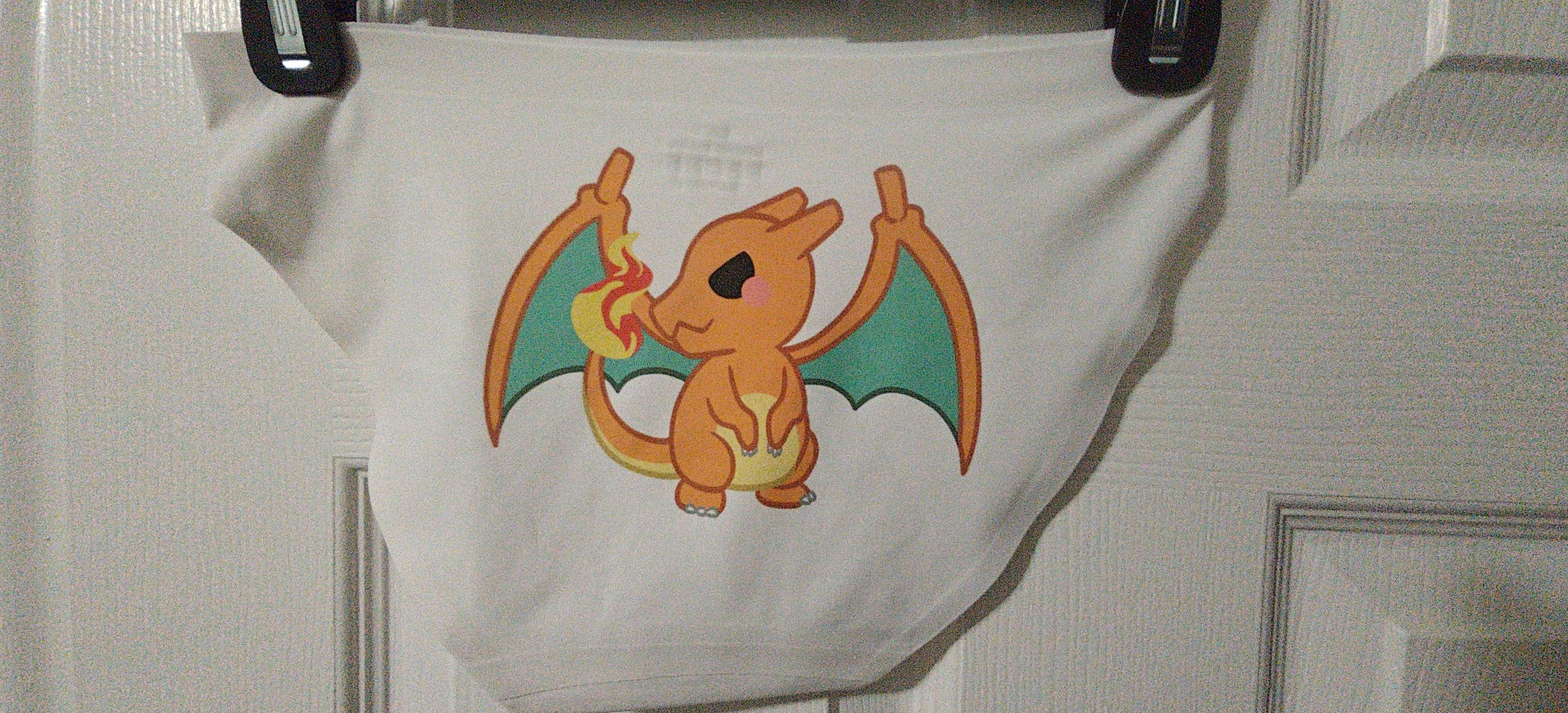 Charizard Bikini
