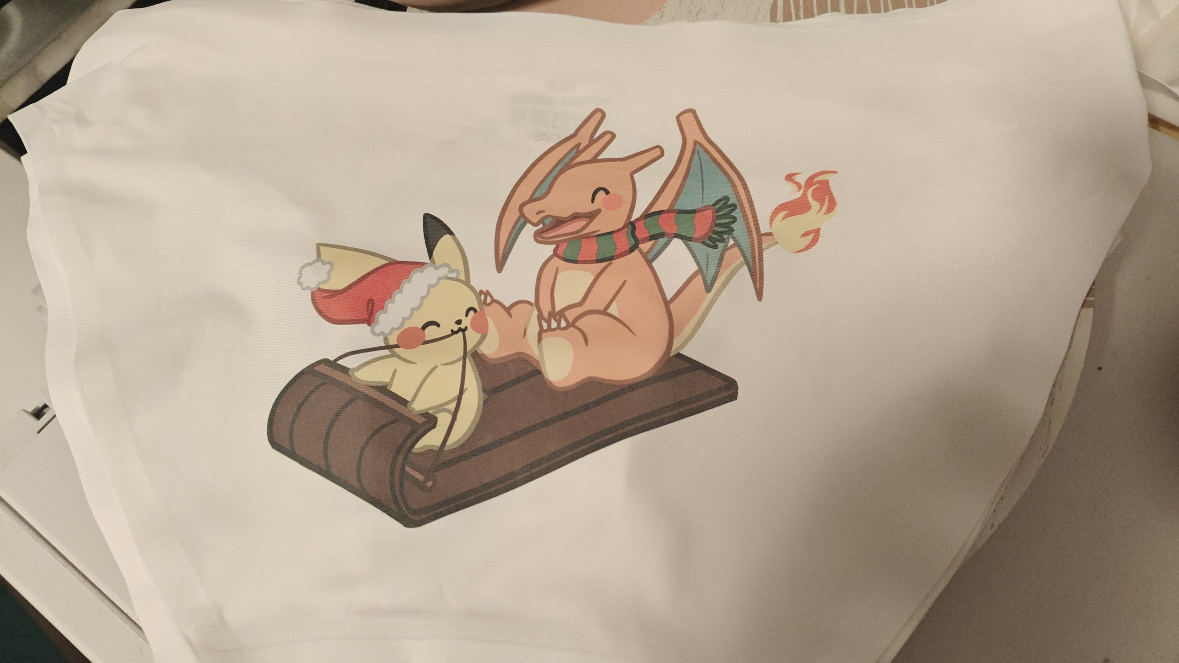 Charizard and Pikachu Inspired Sleeding Panty