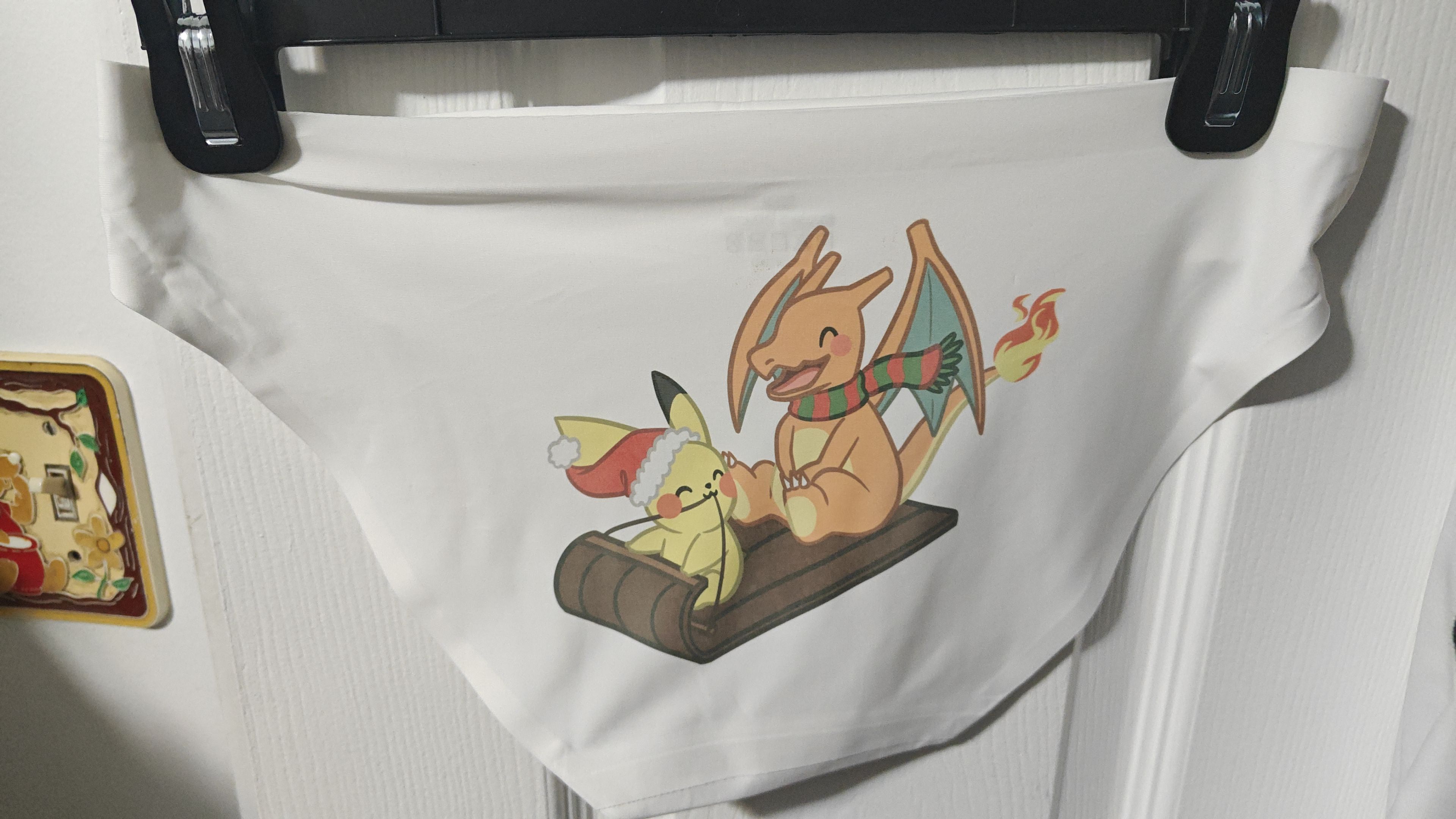 Charizard and Pikachu Inspired Sleeding Panty