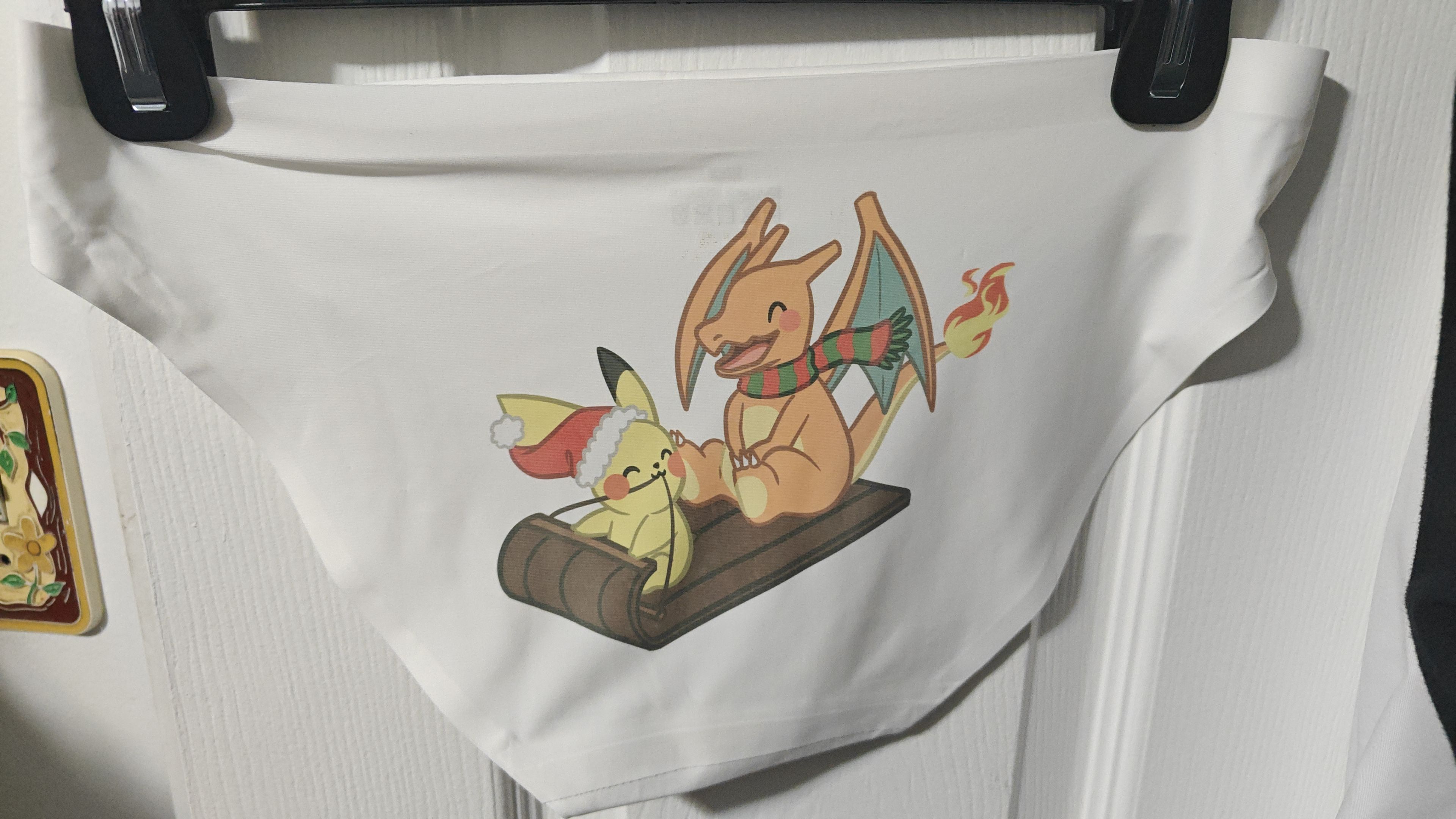 Charizard and Pikachu Inspired Sleeding Panty