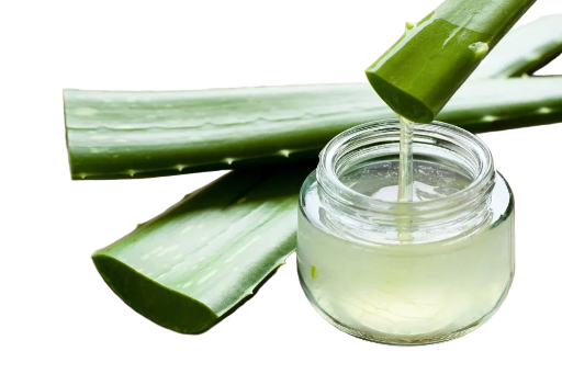 Gel Orgánico de Aloe Vera