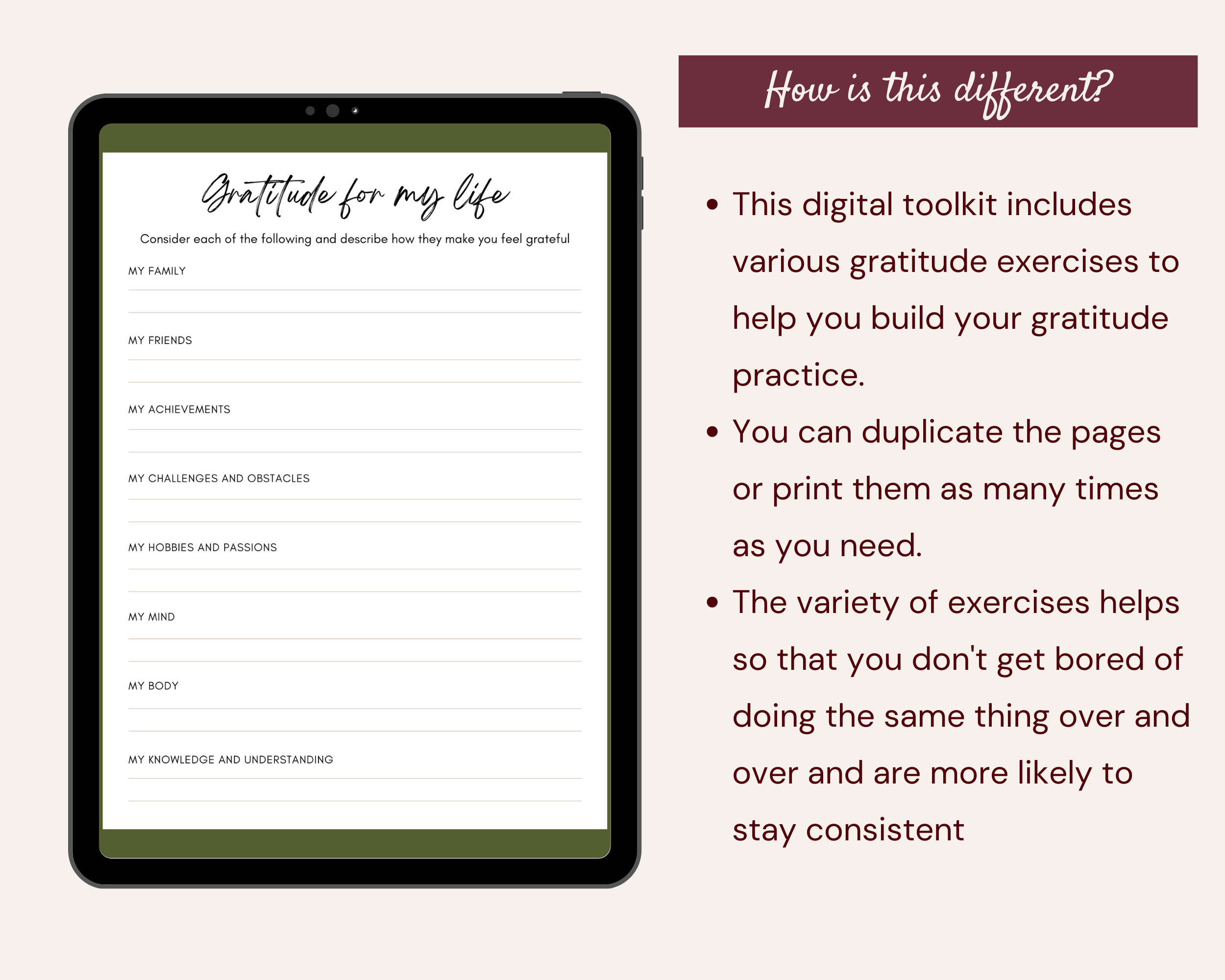 The Complete Gratitude Toolkit: Prompts, activities, and strategies for cultivating a grateful heart and life