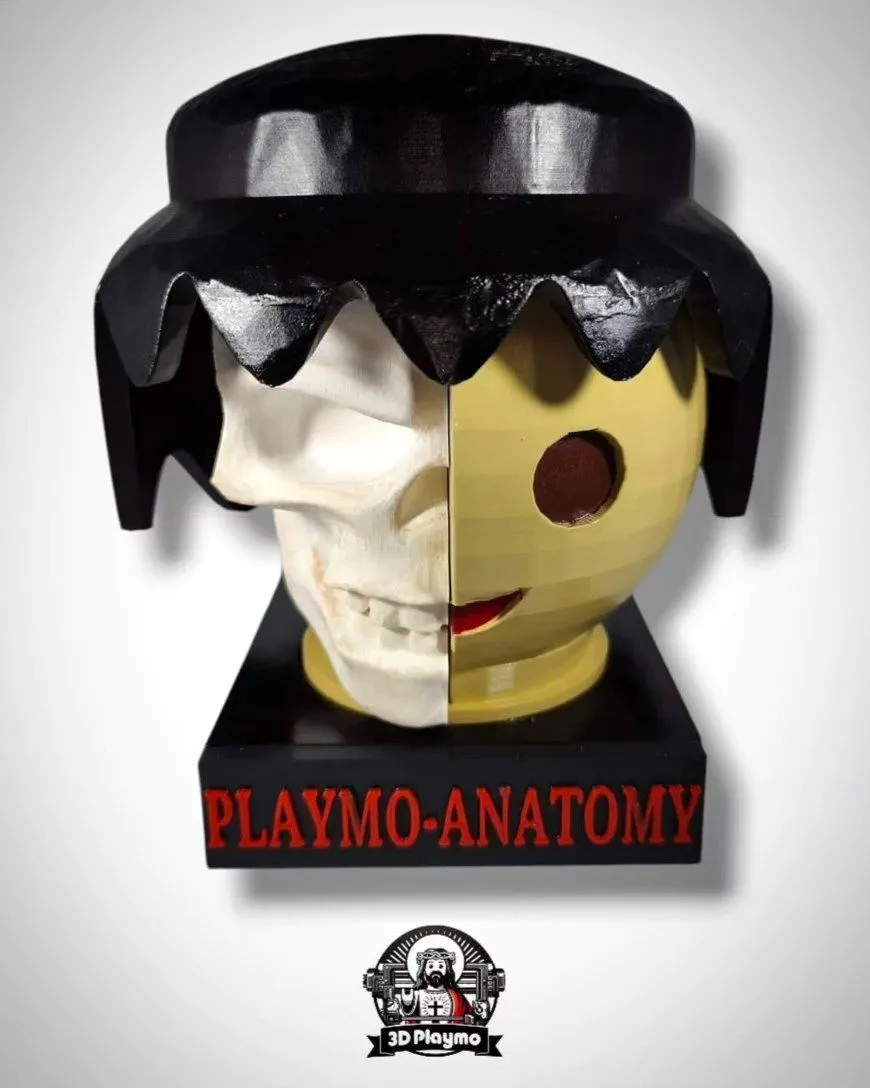 Playmo-Anatomy 