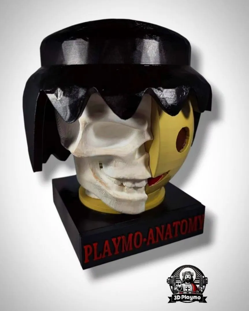 Playmo-Anatomy 