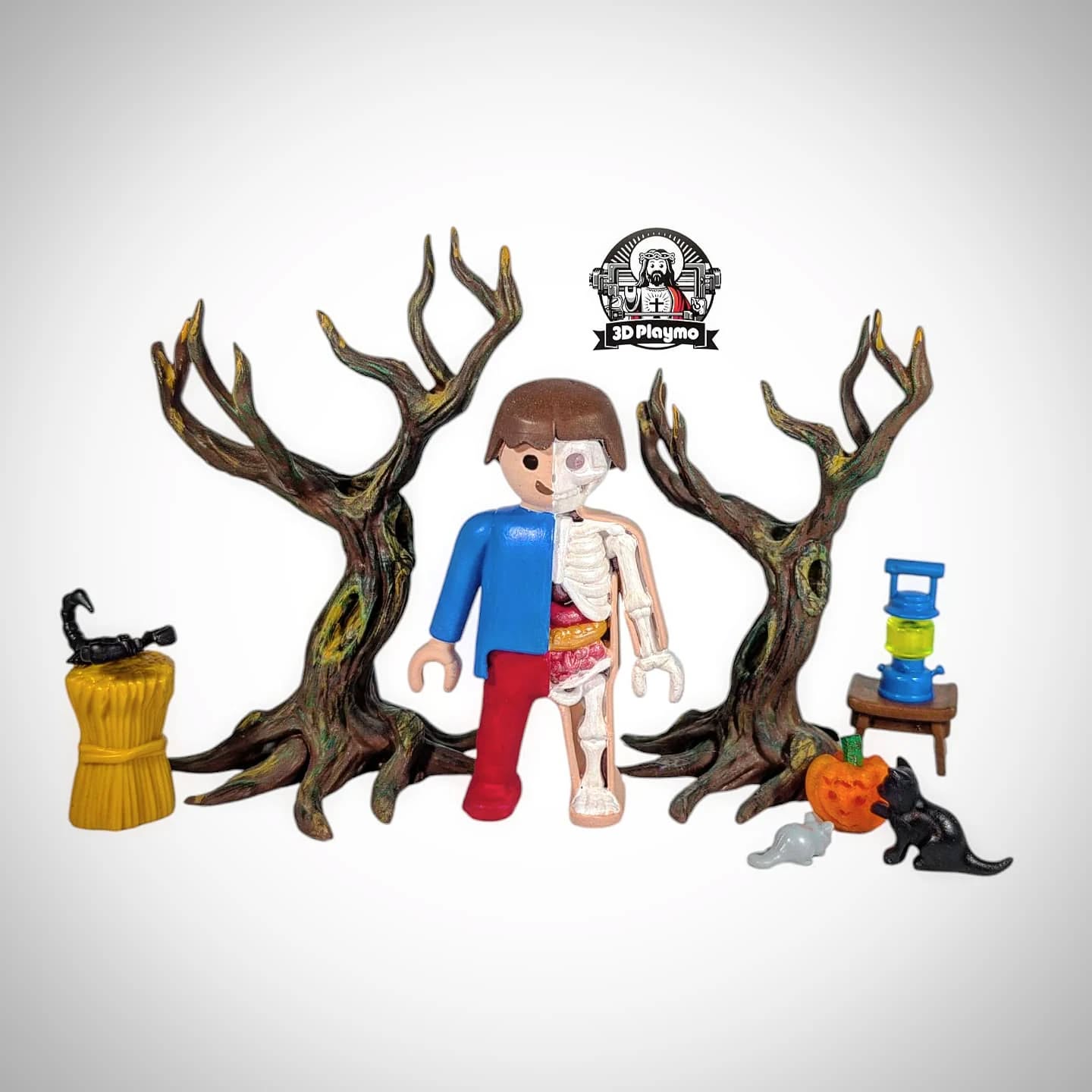 Playmobil Anatomy