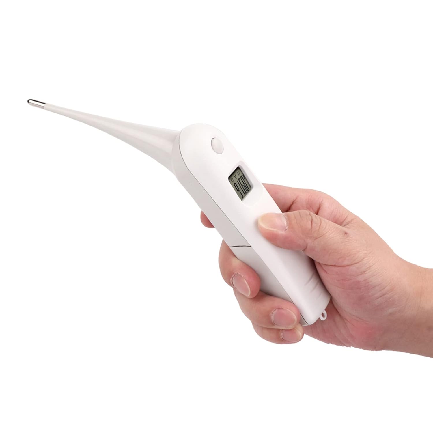 Thermomètre vétérinaire numérique