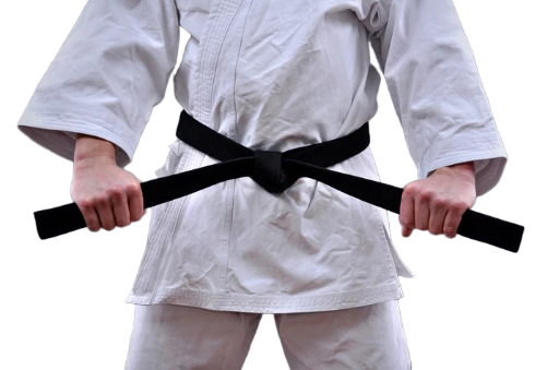 Karate belt