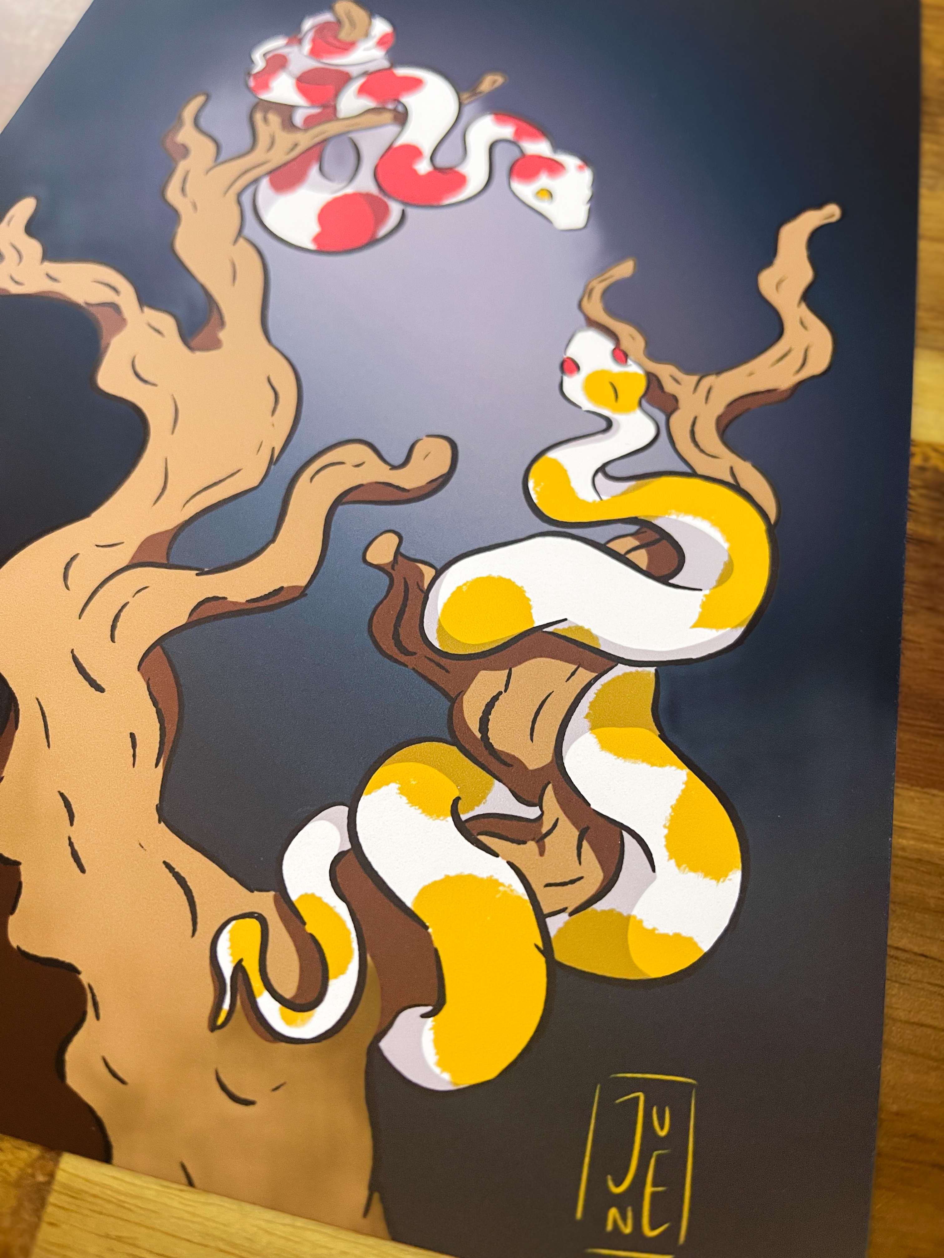 Illustration Snakes