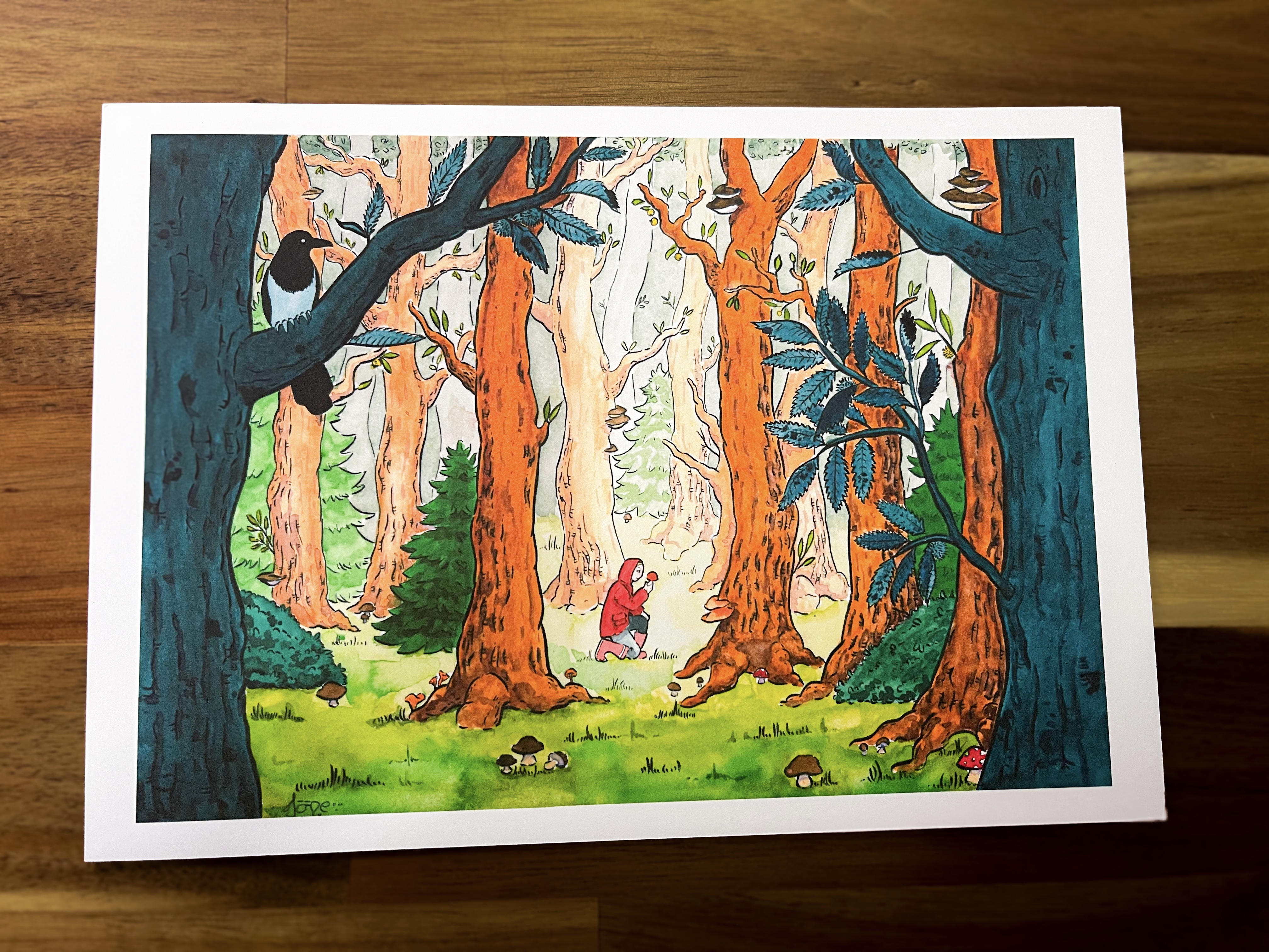 Illustration In the Forest