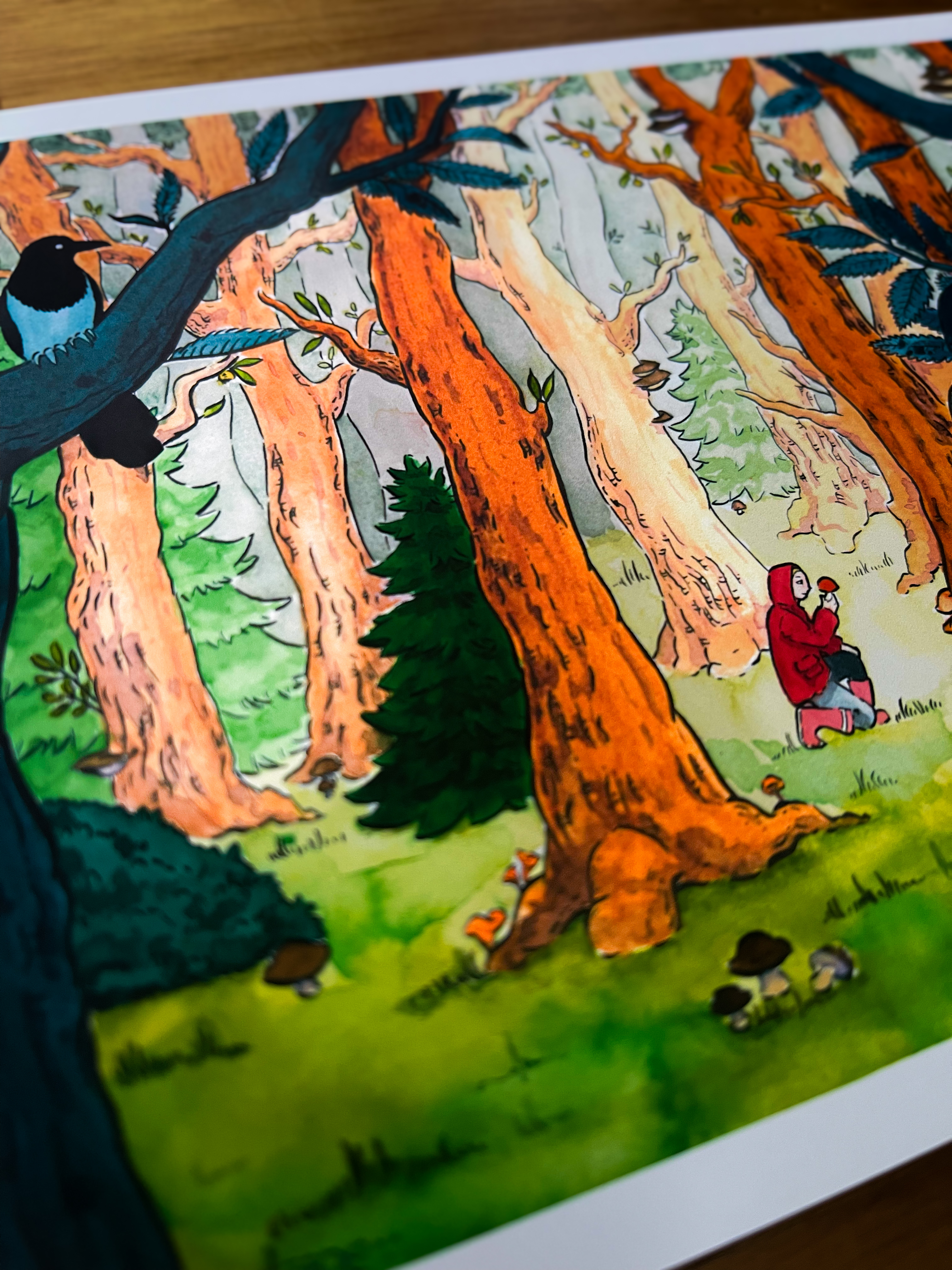 Illustration In the Forest