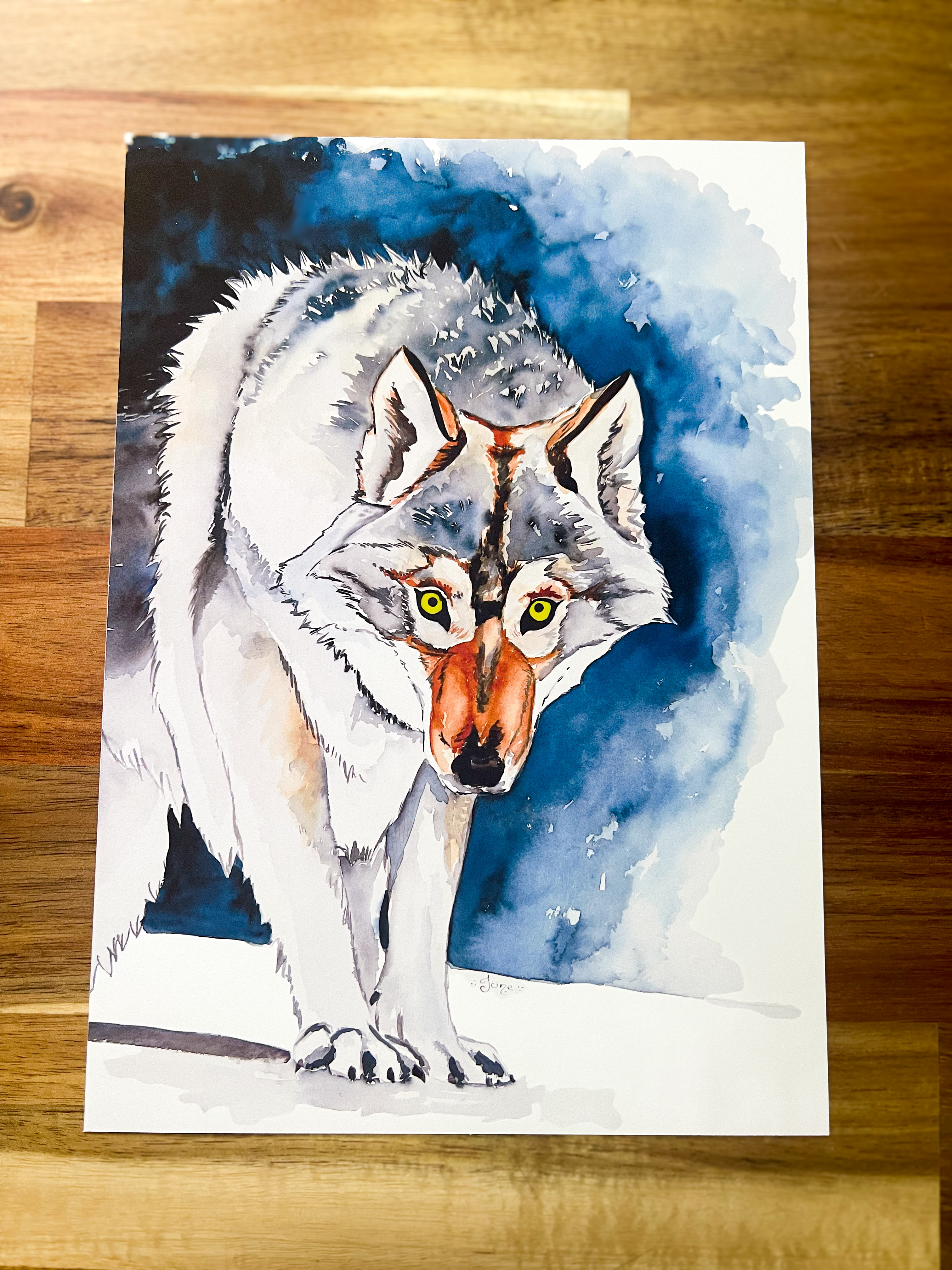 illustration La Louve