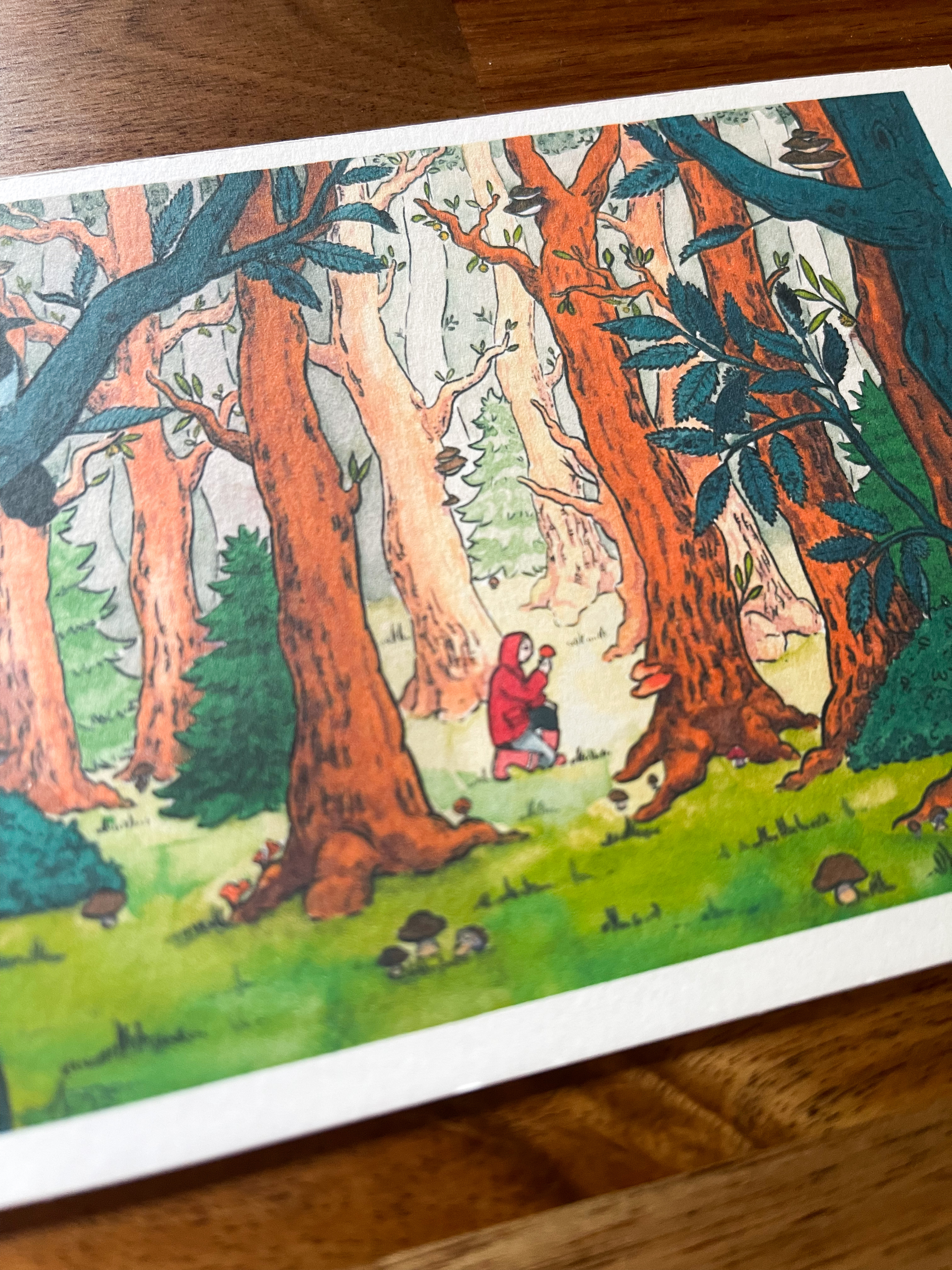 Carte Postale Forêt 