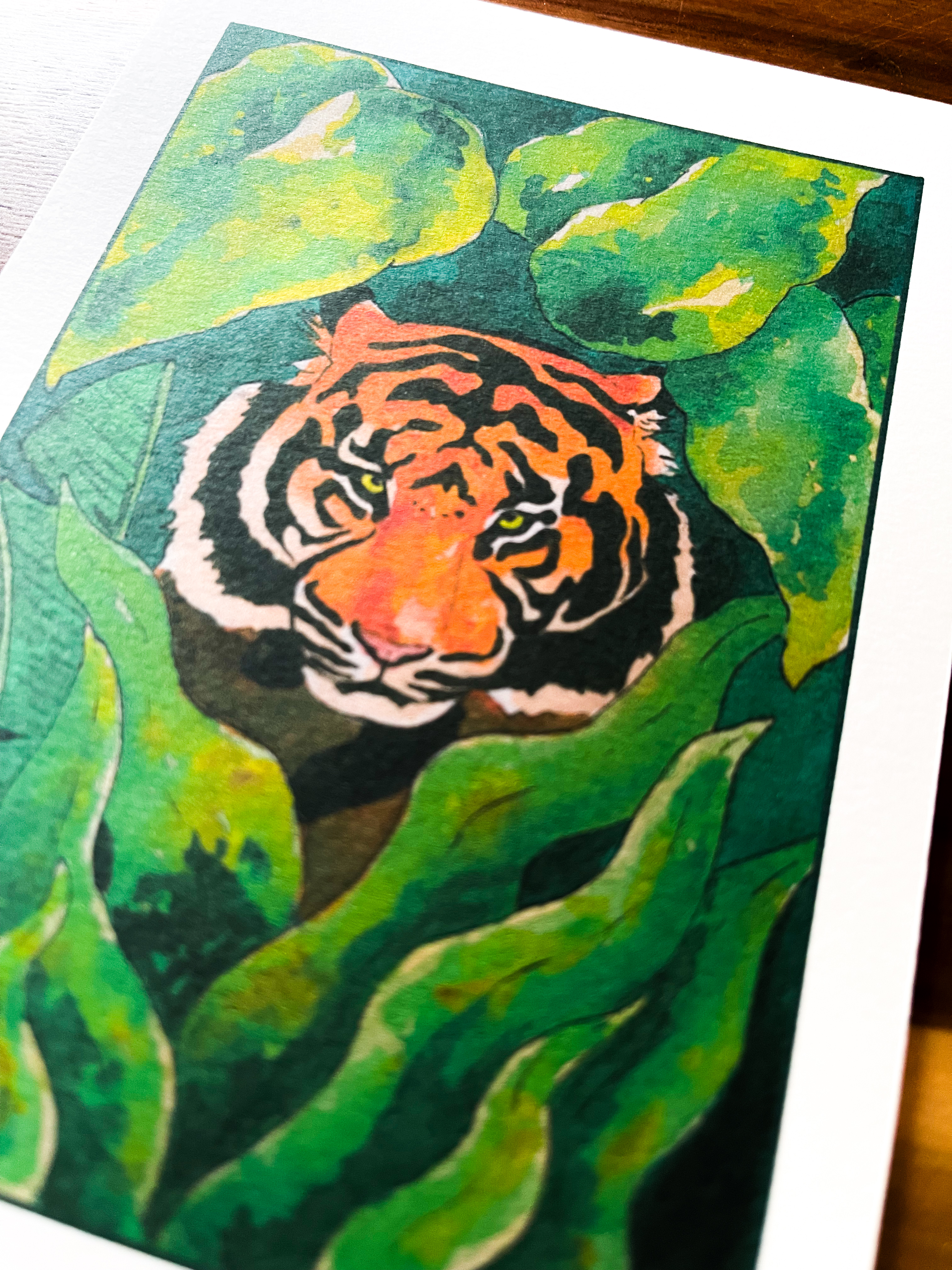 Carte postale Tigre
