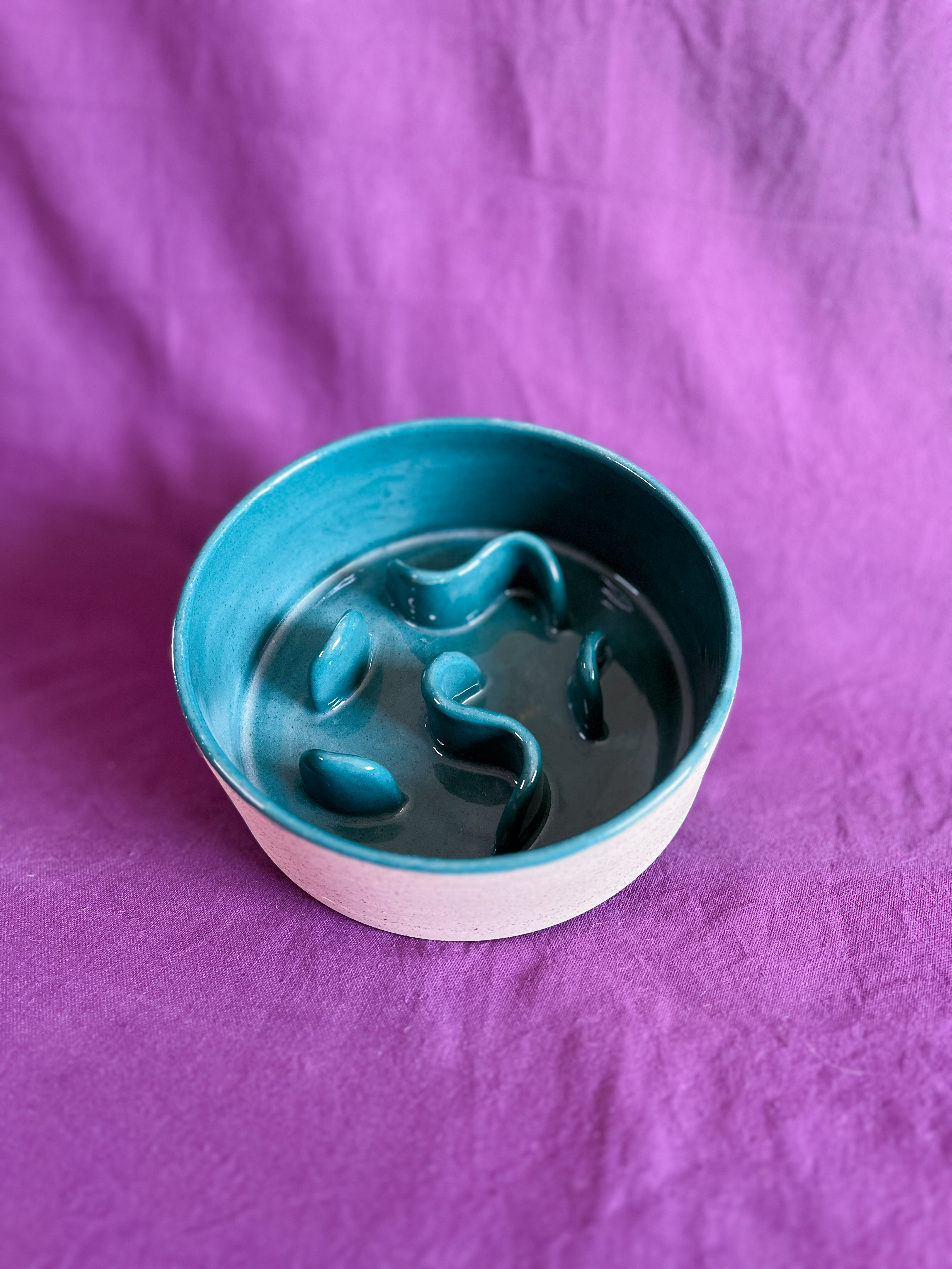 Gamelle anti-glouton 