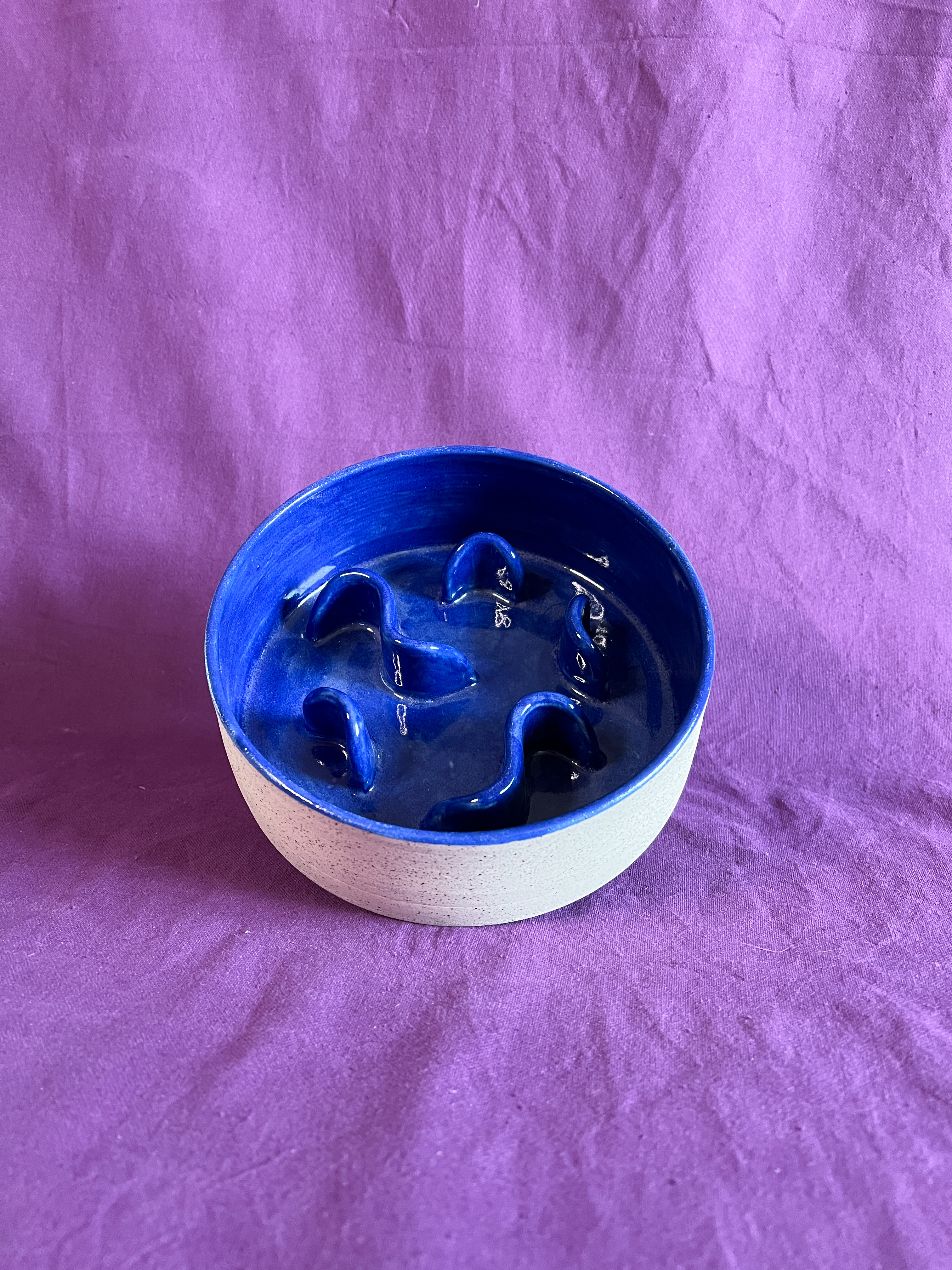 Gamelle anti-glouton