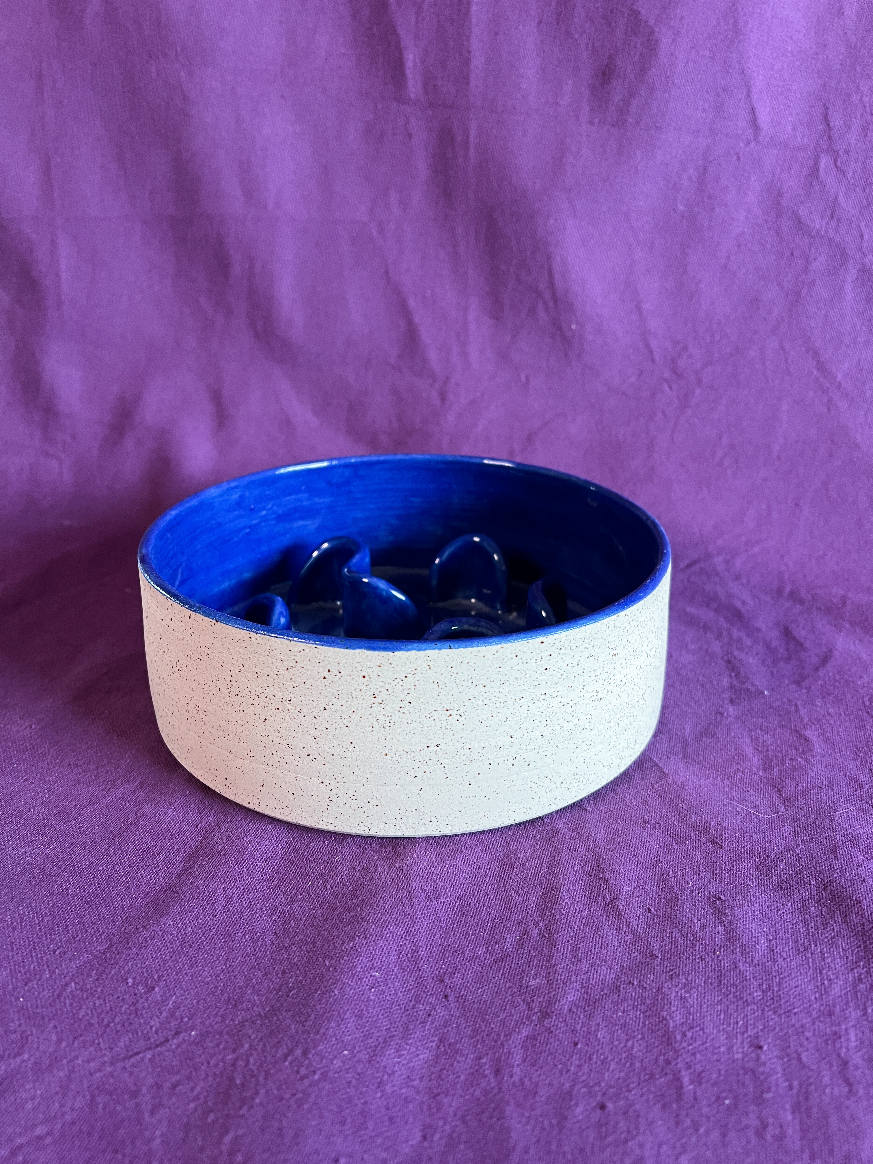 Gamelle anti-glouton 