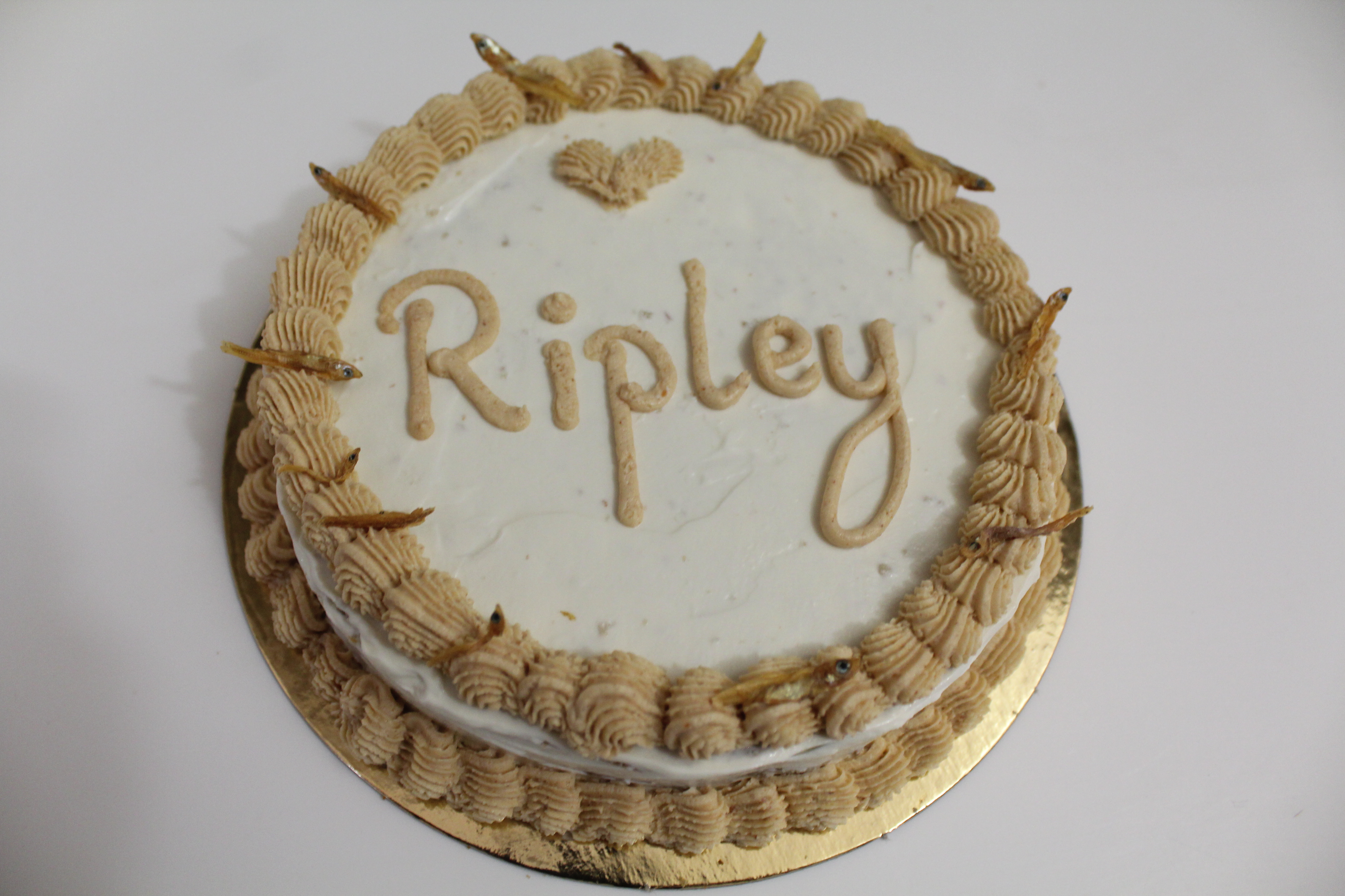 Barkday Cake (1-2 chiens)