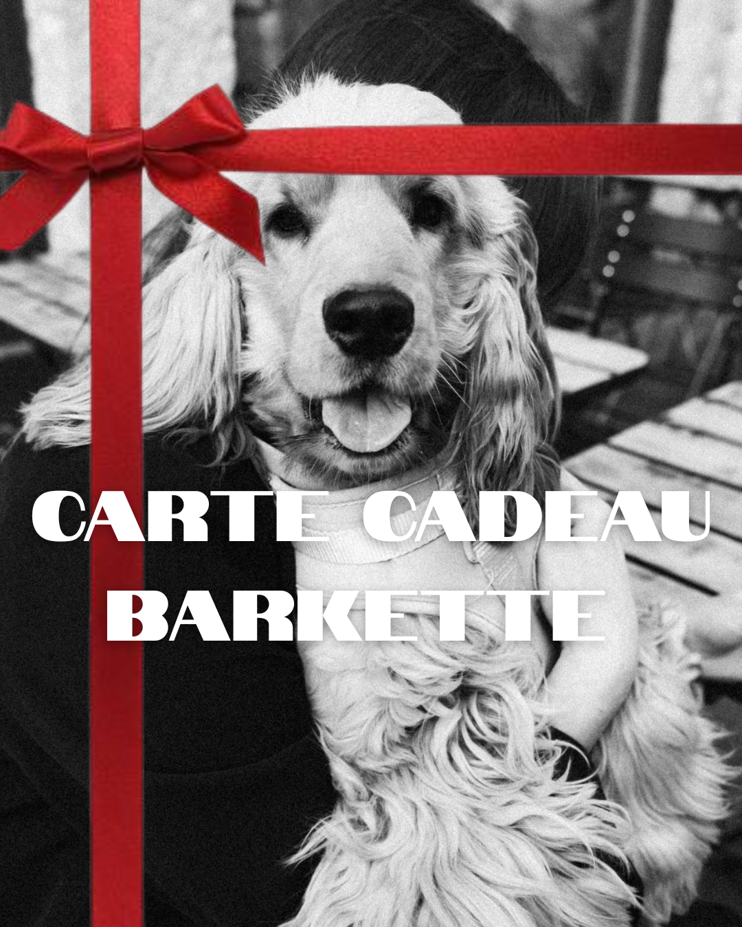 Carte cadeau Barkette