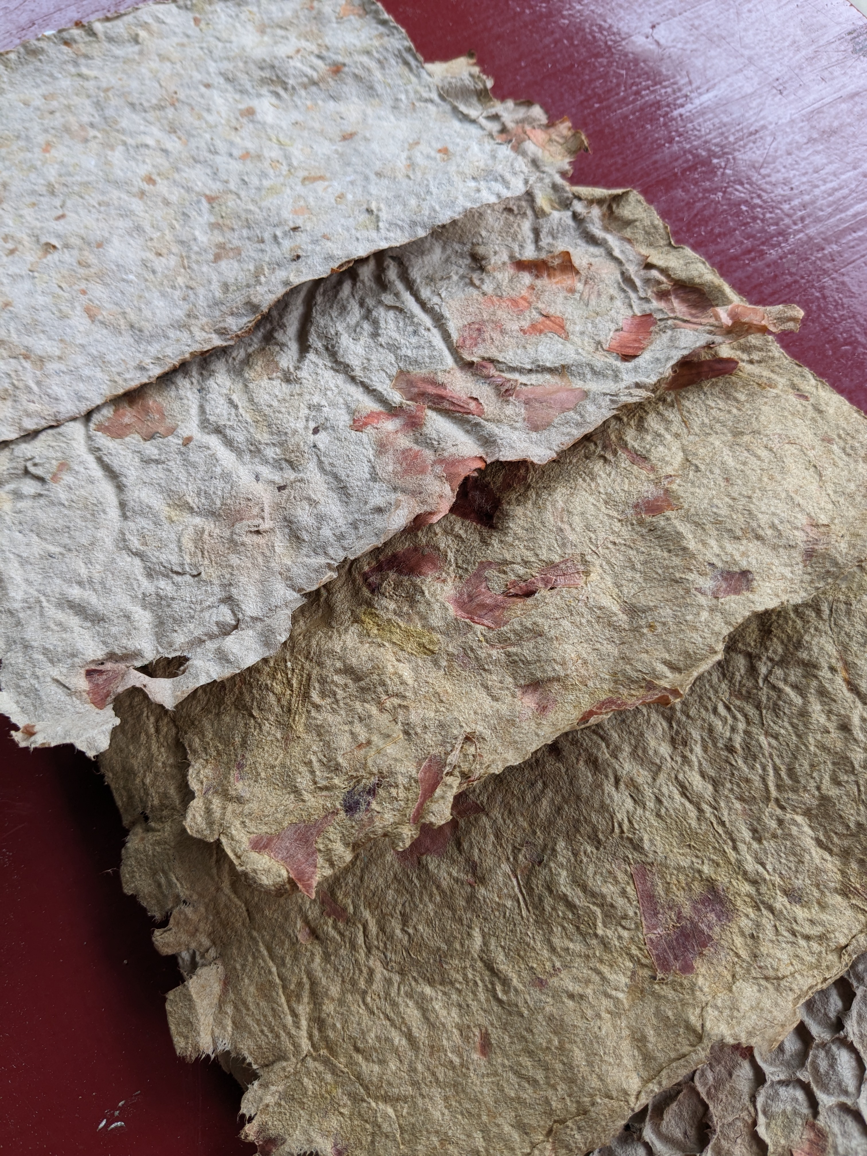 Recycled paper Lesson