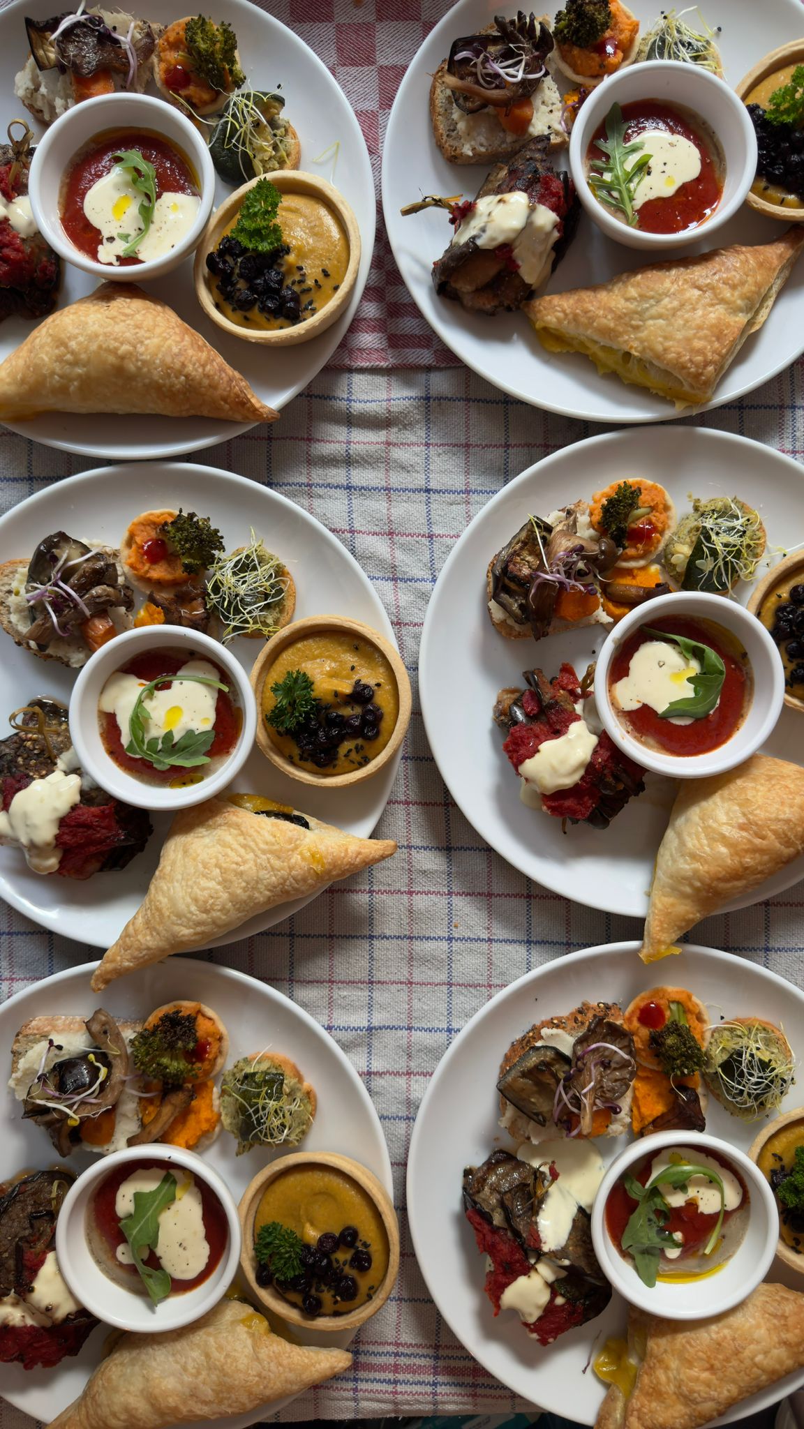 "Color Out of the Lines" - Queer Concert Dinner