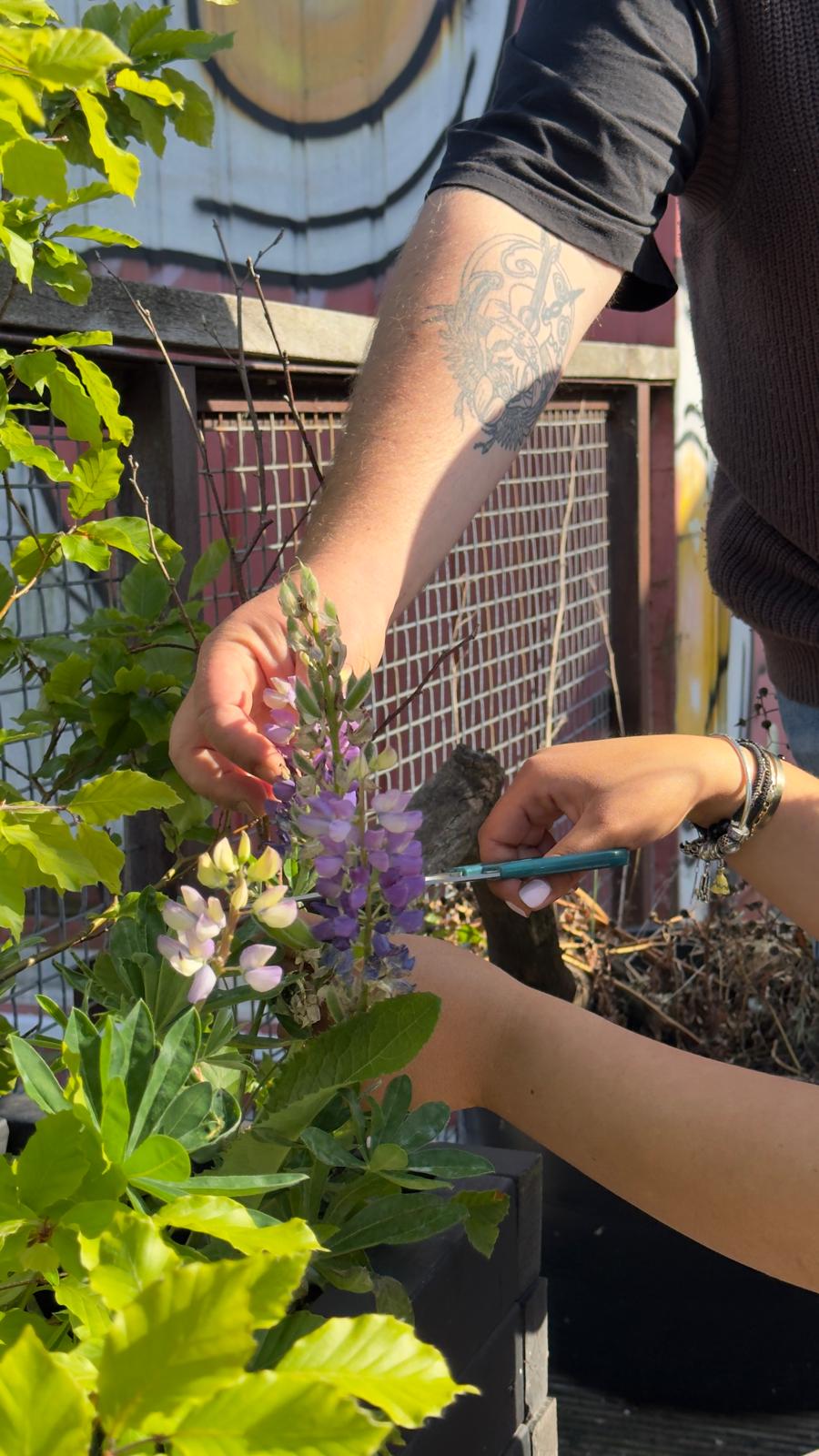Creative Garden: Exploring Creative Reuse through Nature & Imagination