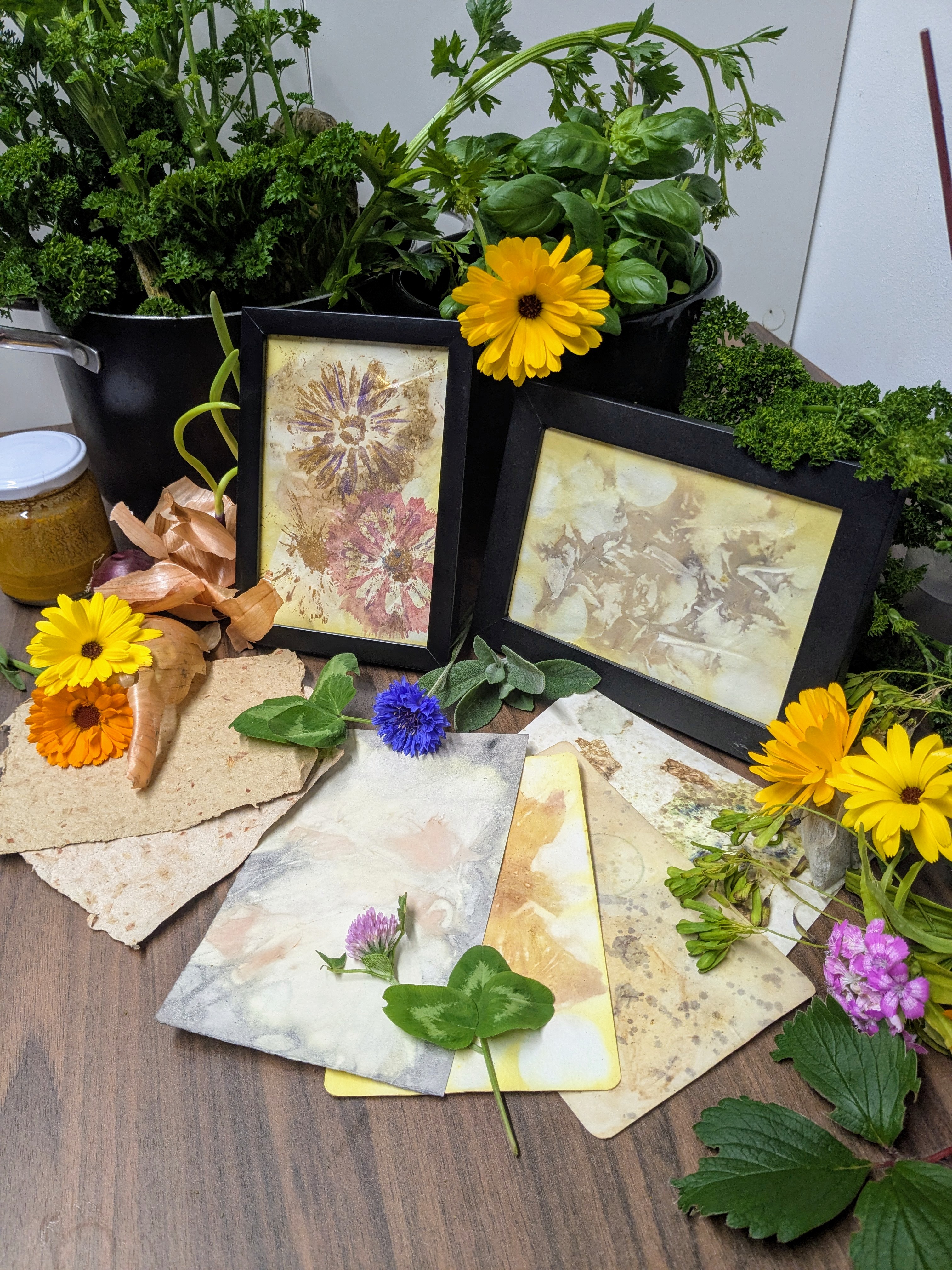 Creative Garden: Exploring Creative Reuse through Nature & Imagination