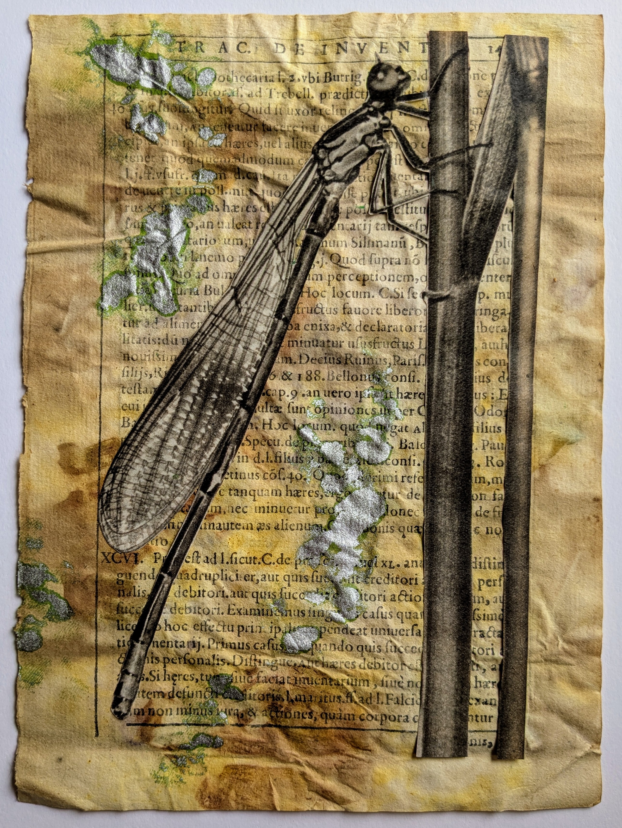Insects Collection — A5 Fine Art Prints