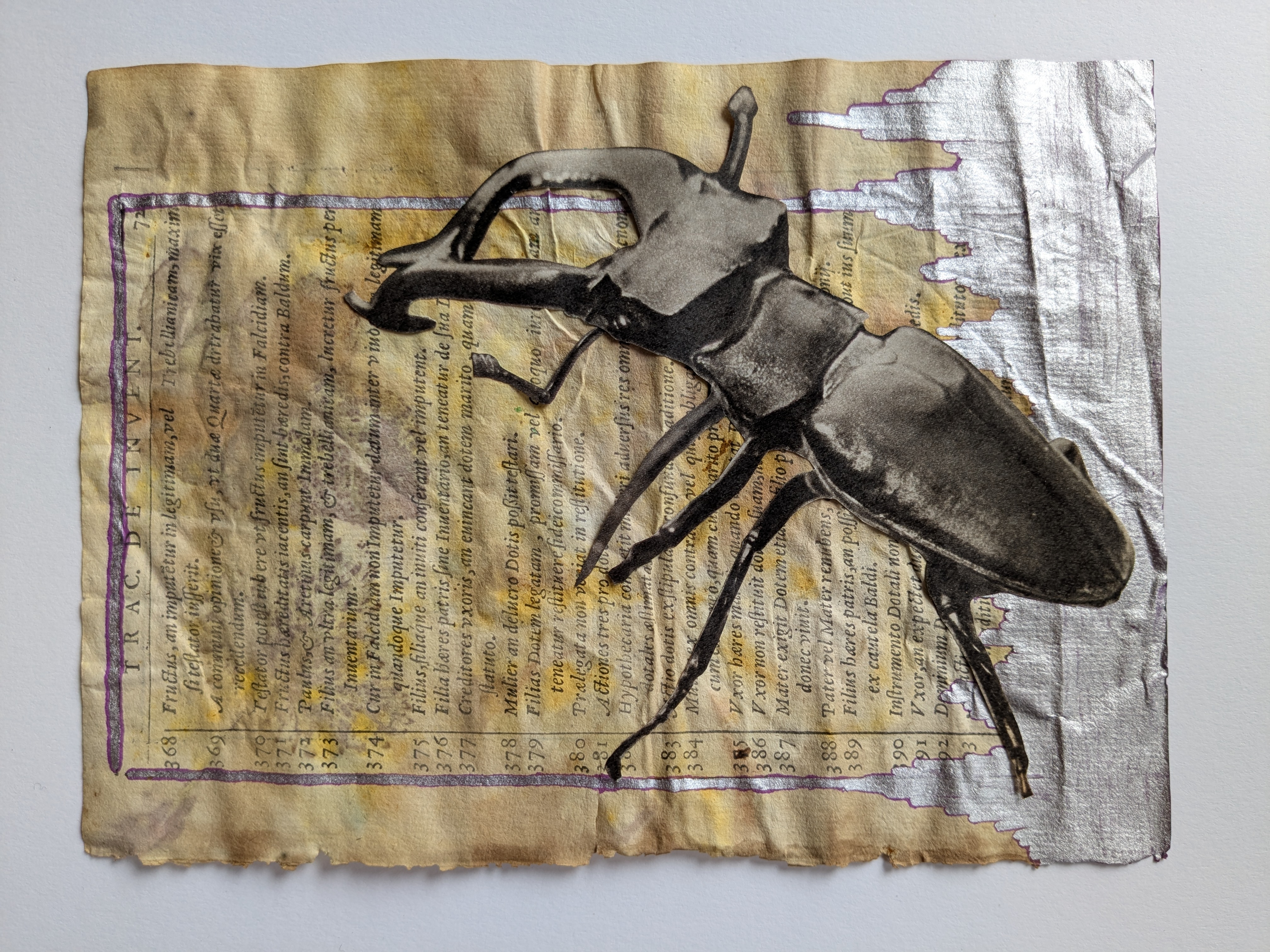 Insects Collection — A5 Fine Art Prints