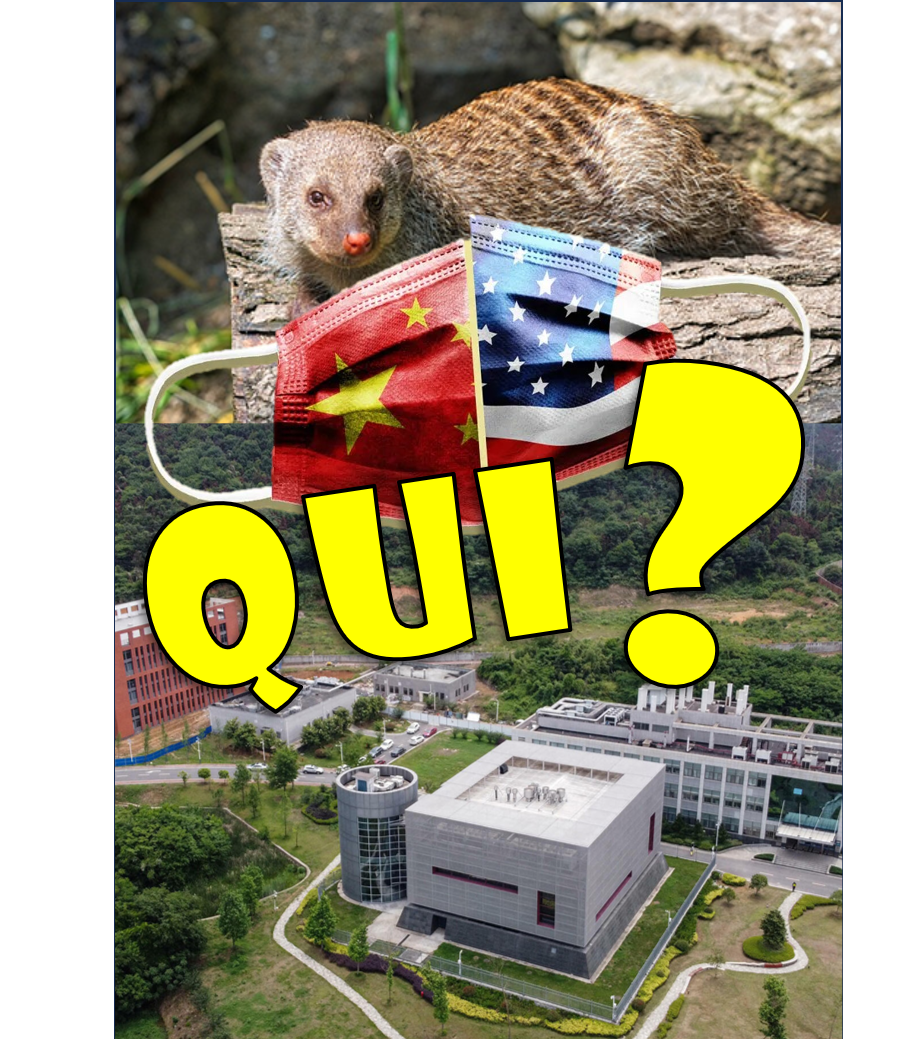 LA MALÉDICTION DU VARIANT