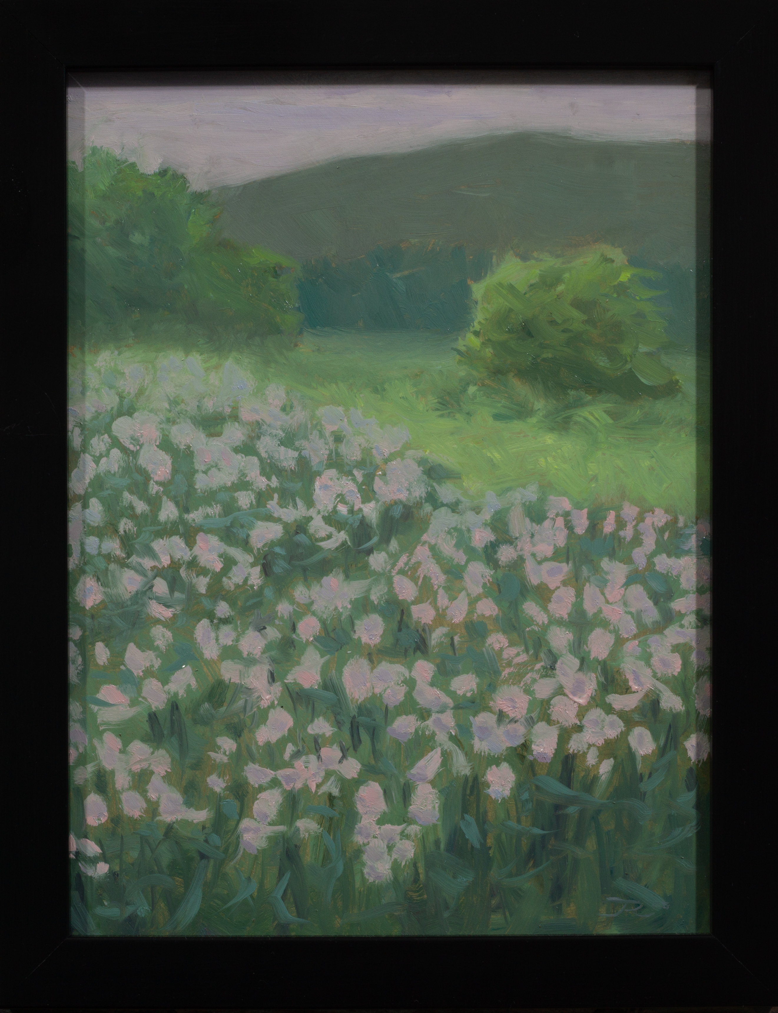Flowerfield impression