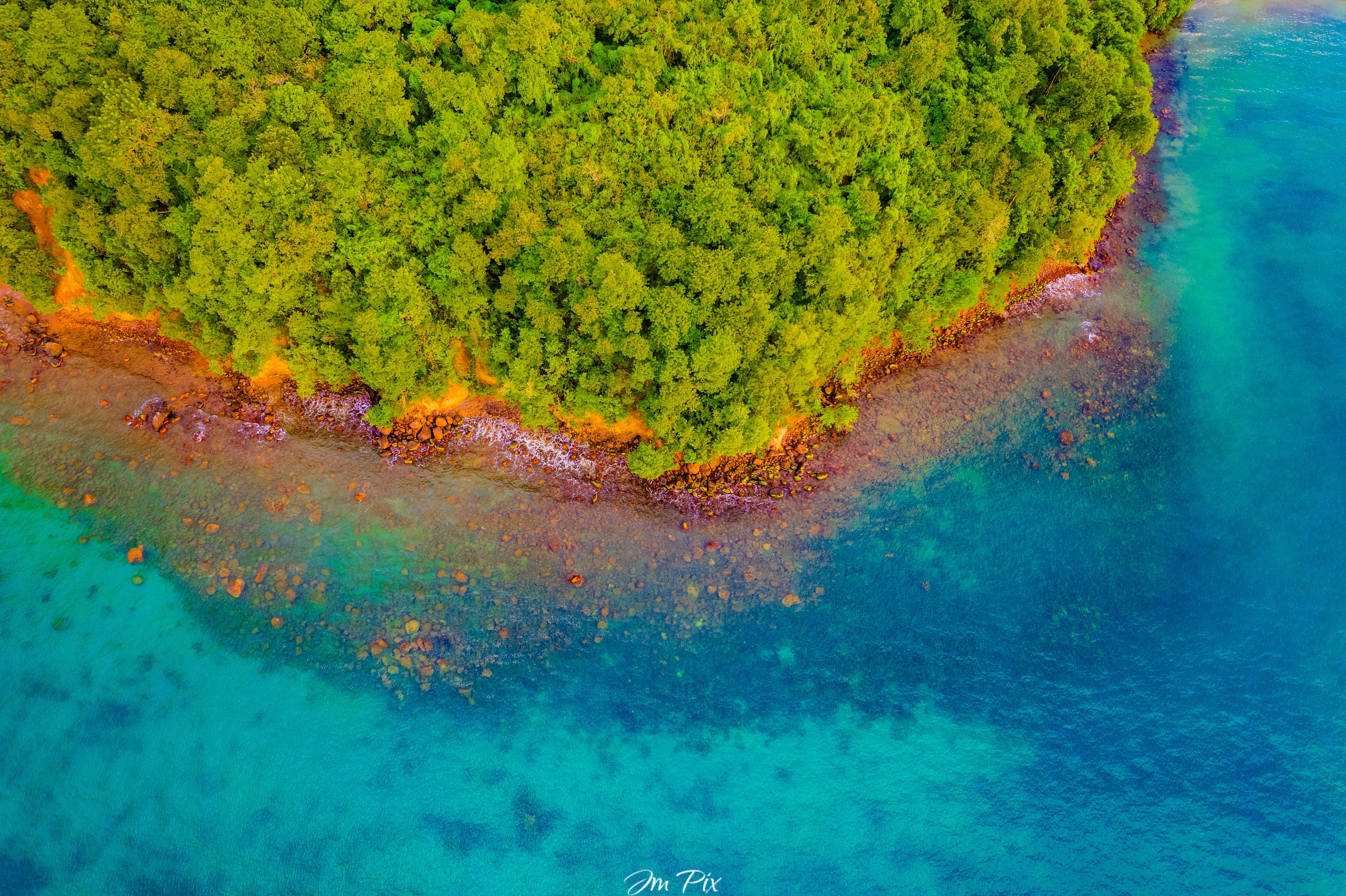 Plongé colorée