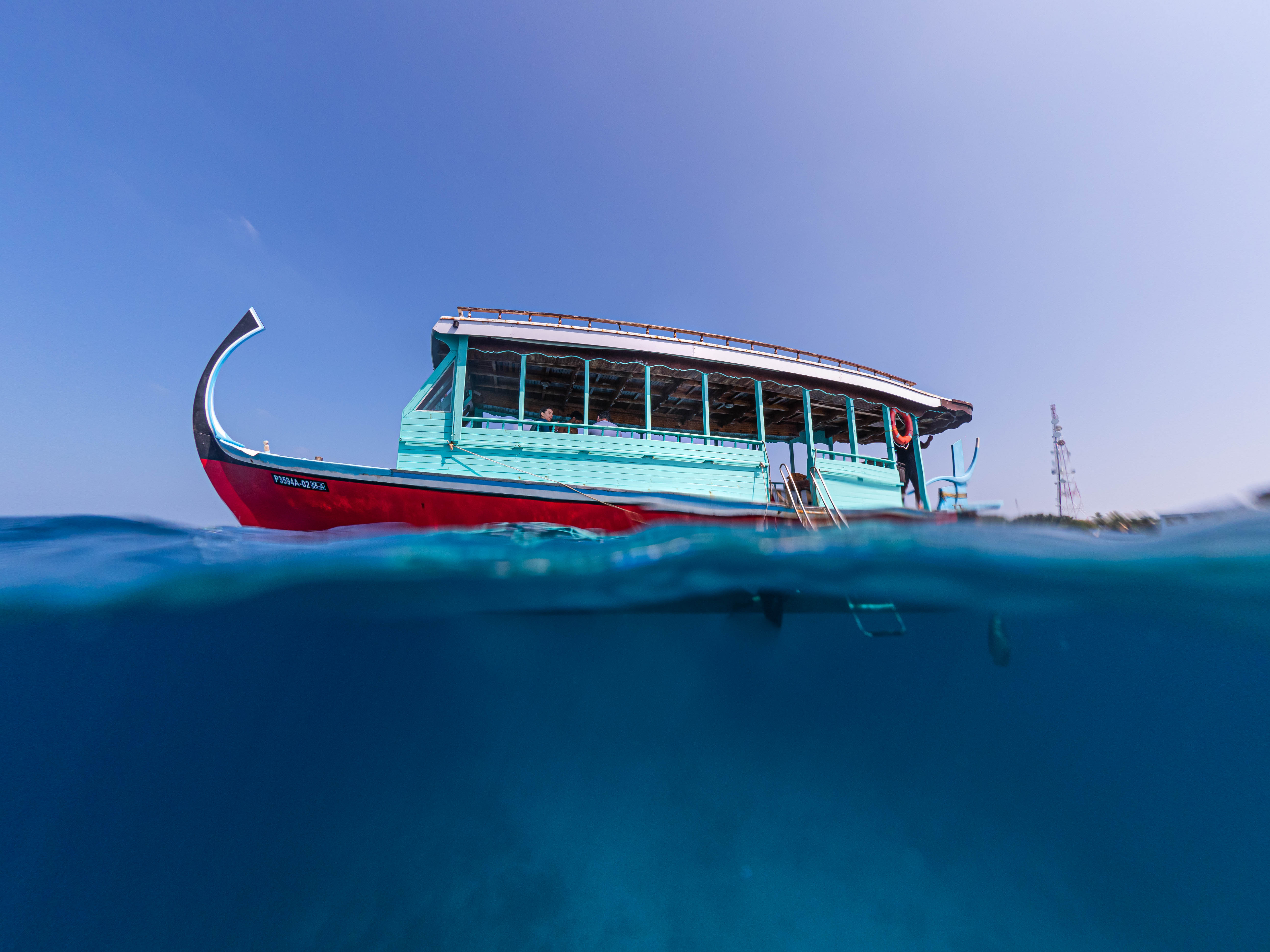 7D6N鯨鯊與魔鬼魚Manta水肺之旅（包括鯊魚城潛點）