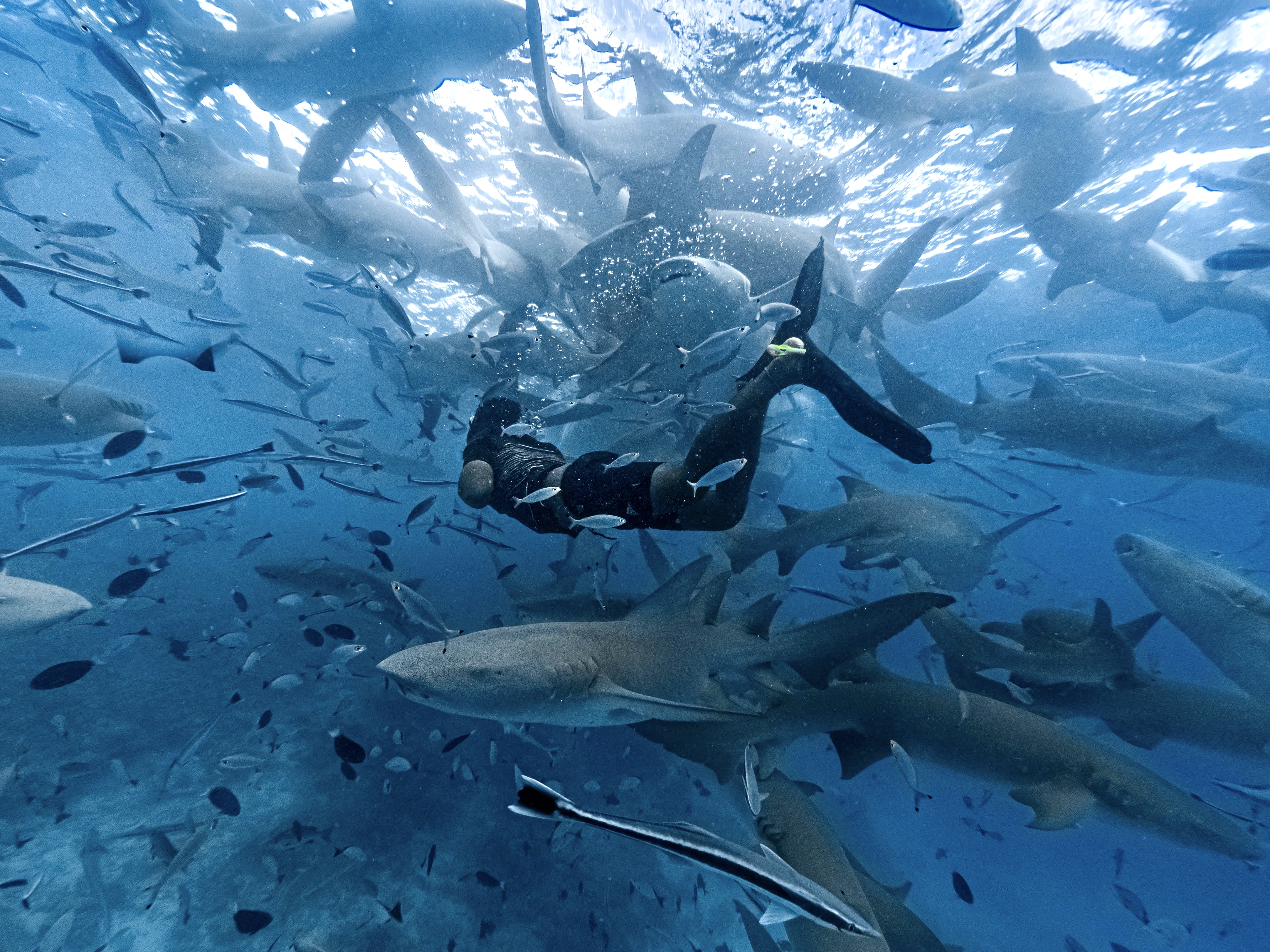 6D5N Manta風暴共游之旅