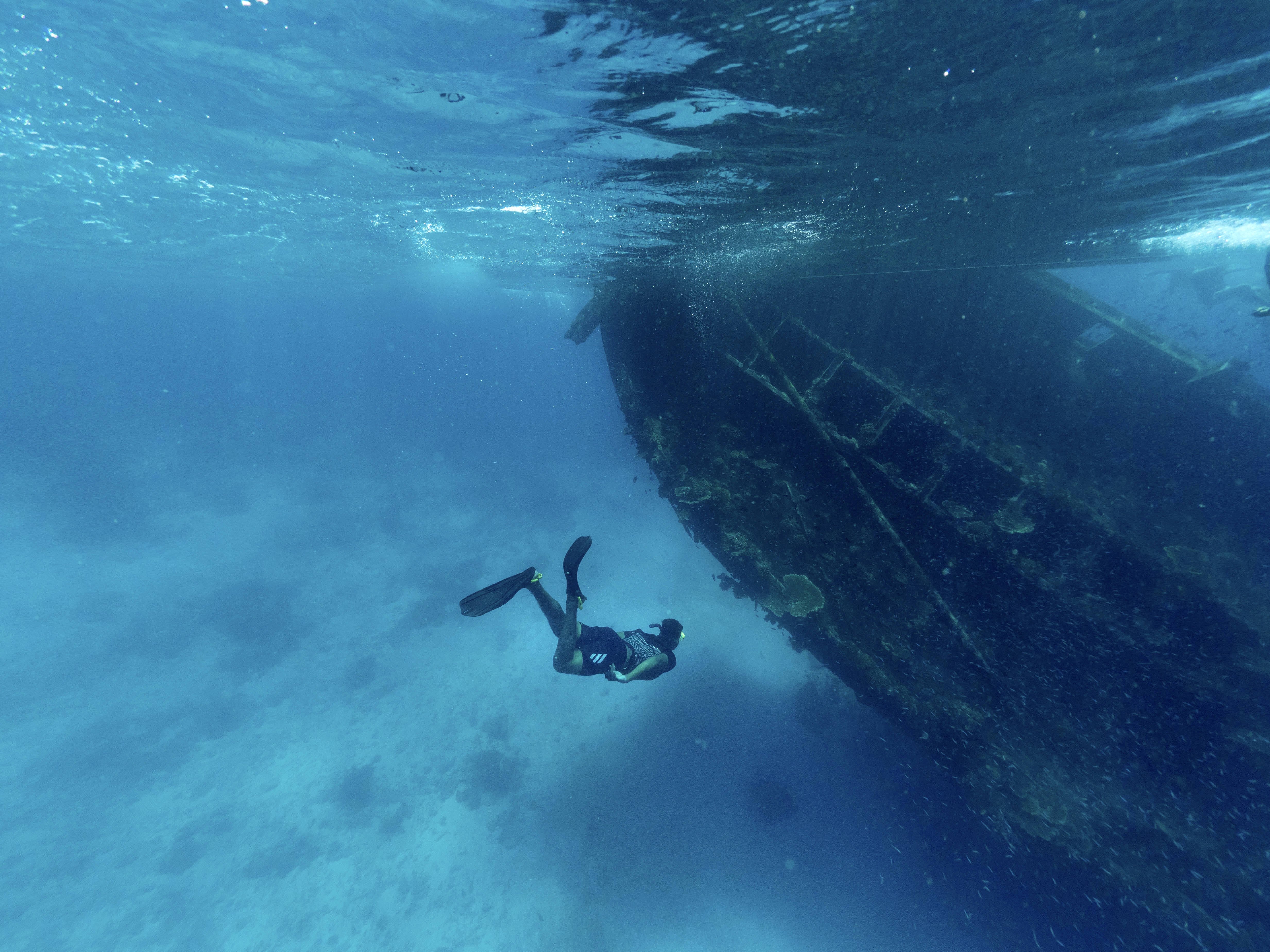 6D5N Manta風暴共游之旅